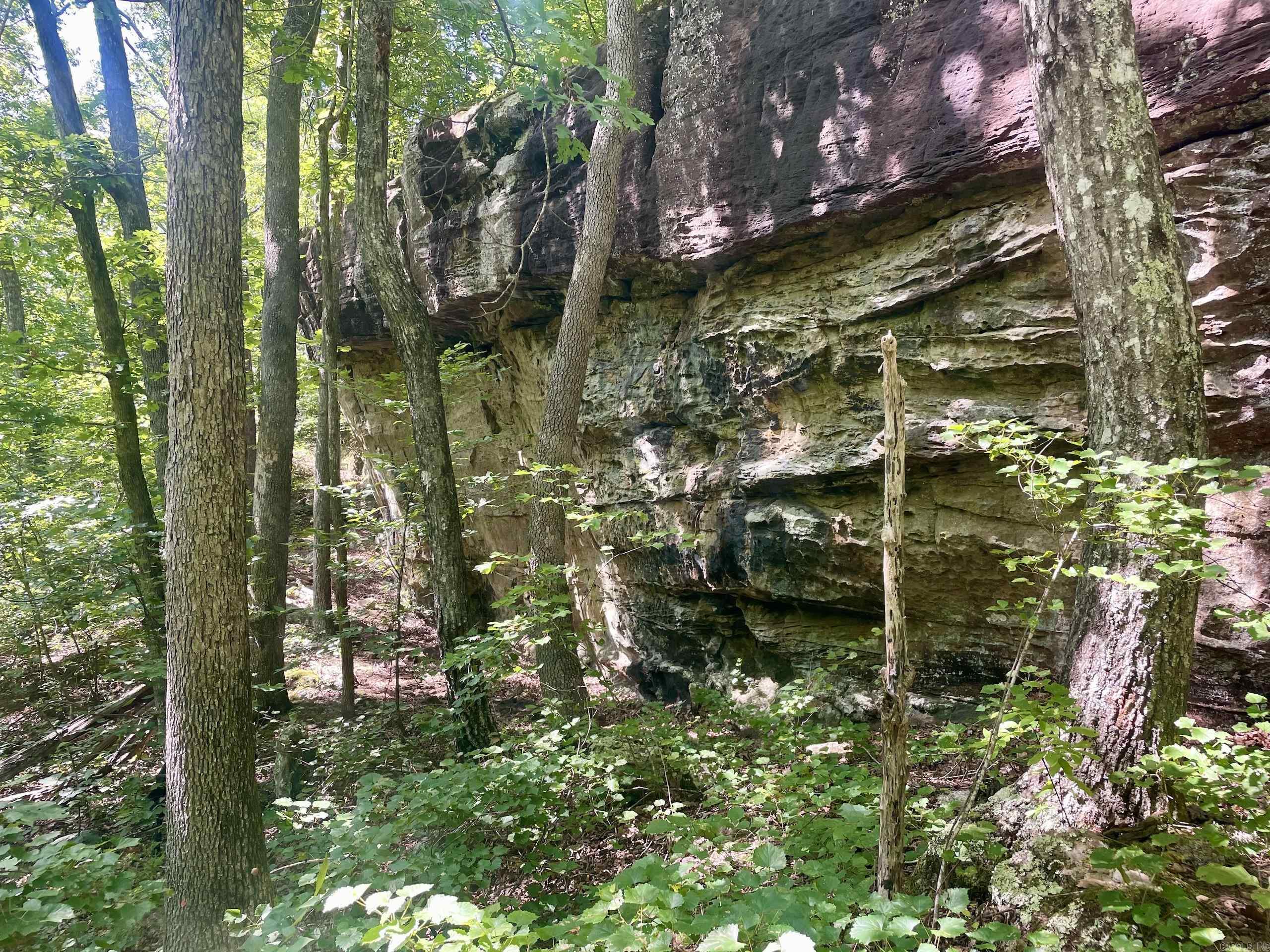 000 Old Brewer Road North  Edgemont, AR