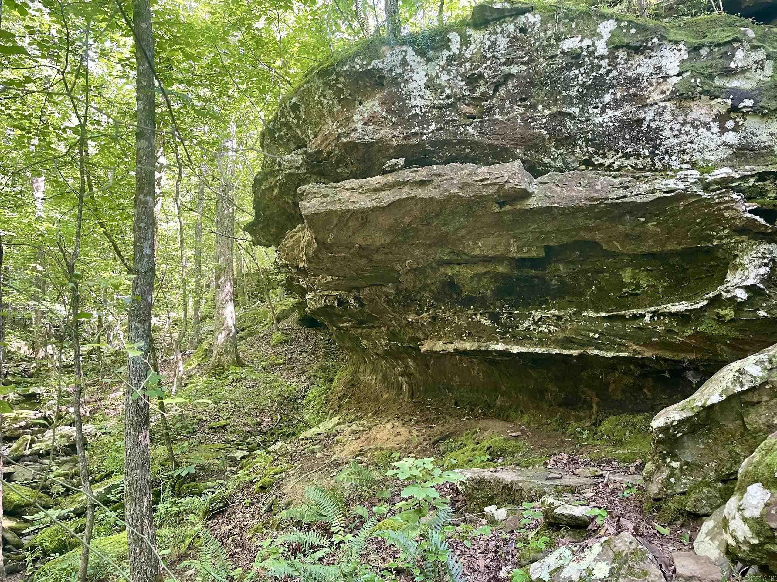 000 Old Brewer Road North  Edgemont, AR