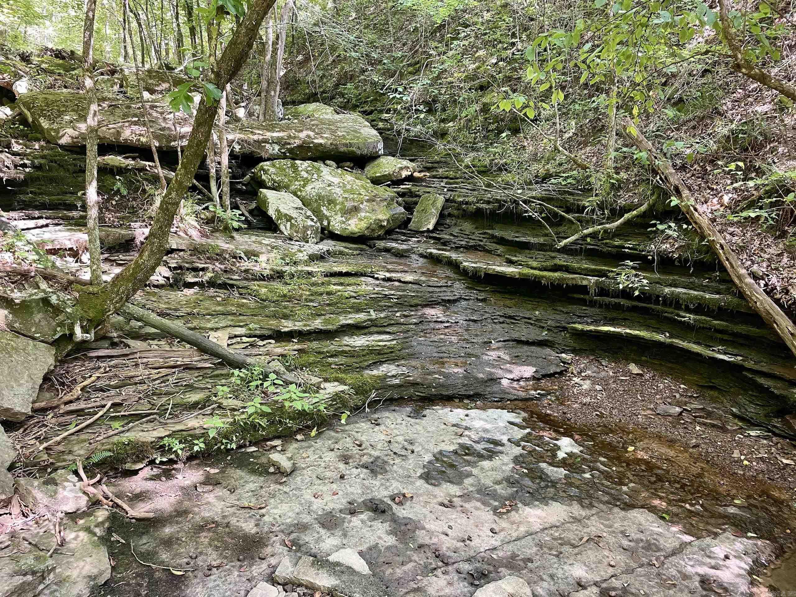 000 Old Brewer Road North  Edgemont, AR