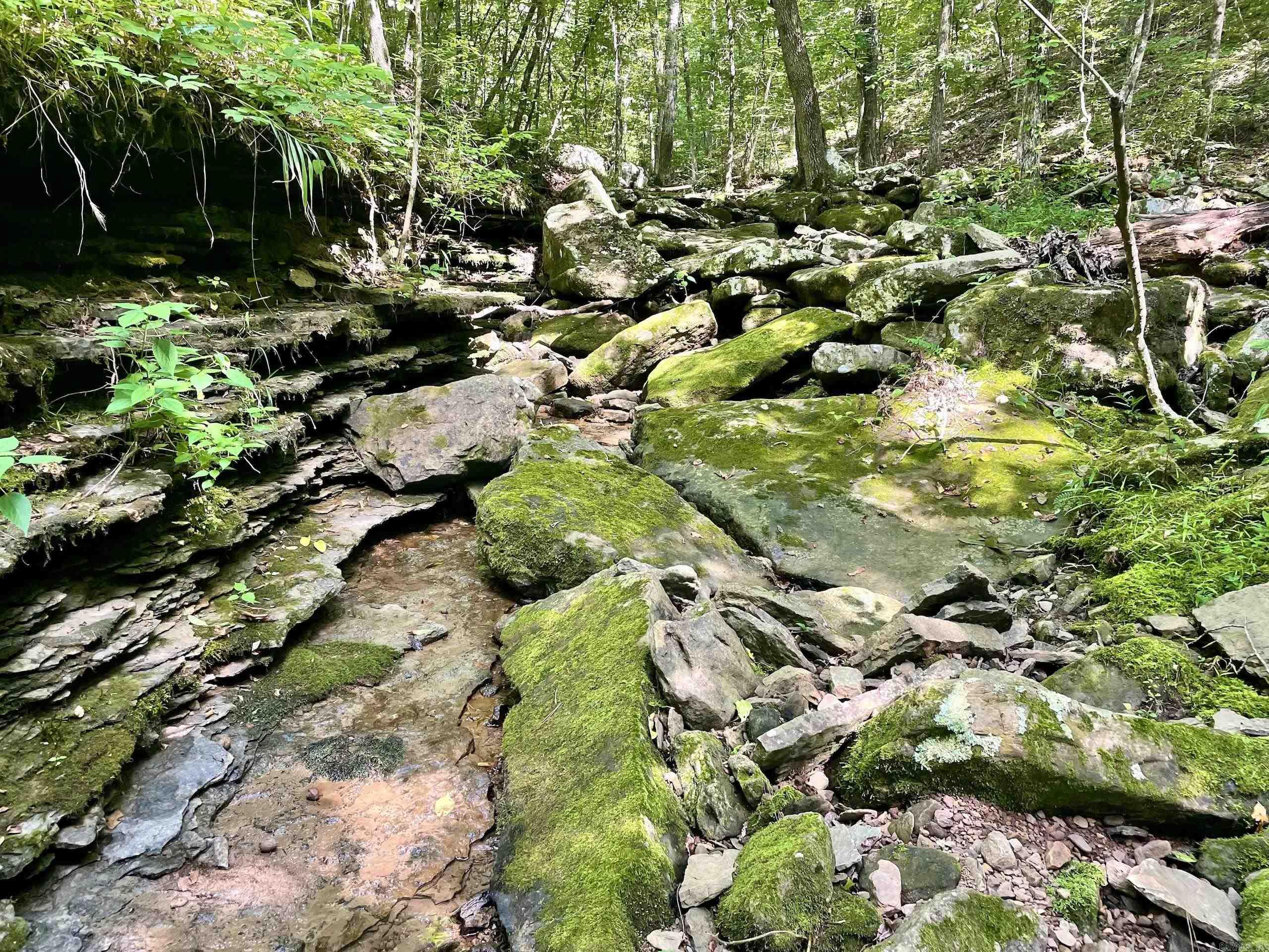 000 Old Brewer Road North  Edgemont, AR