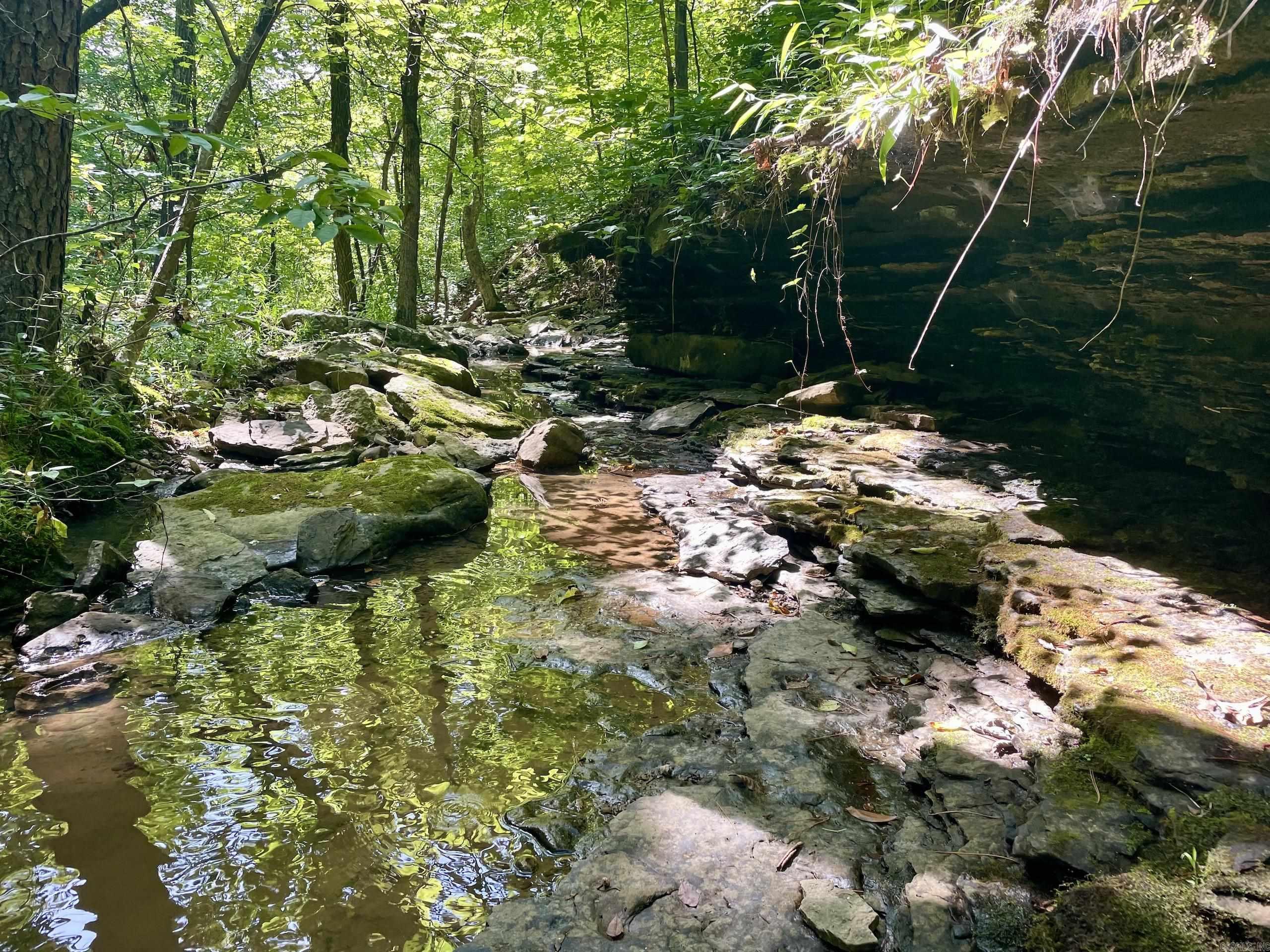 000 Old Brewer Road North  Edgemont, AR