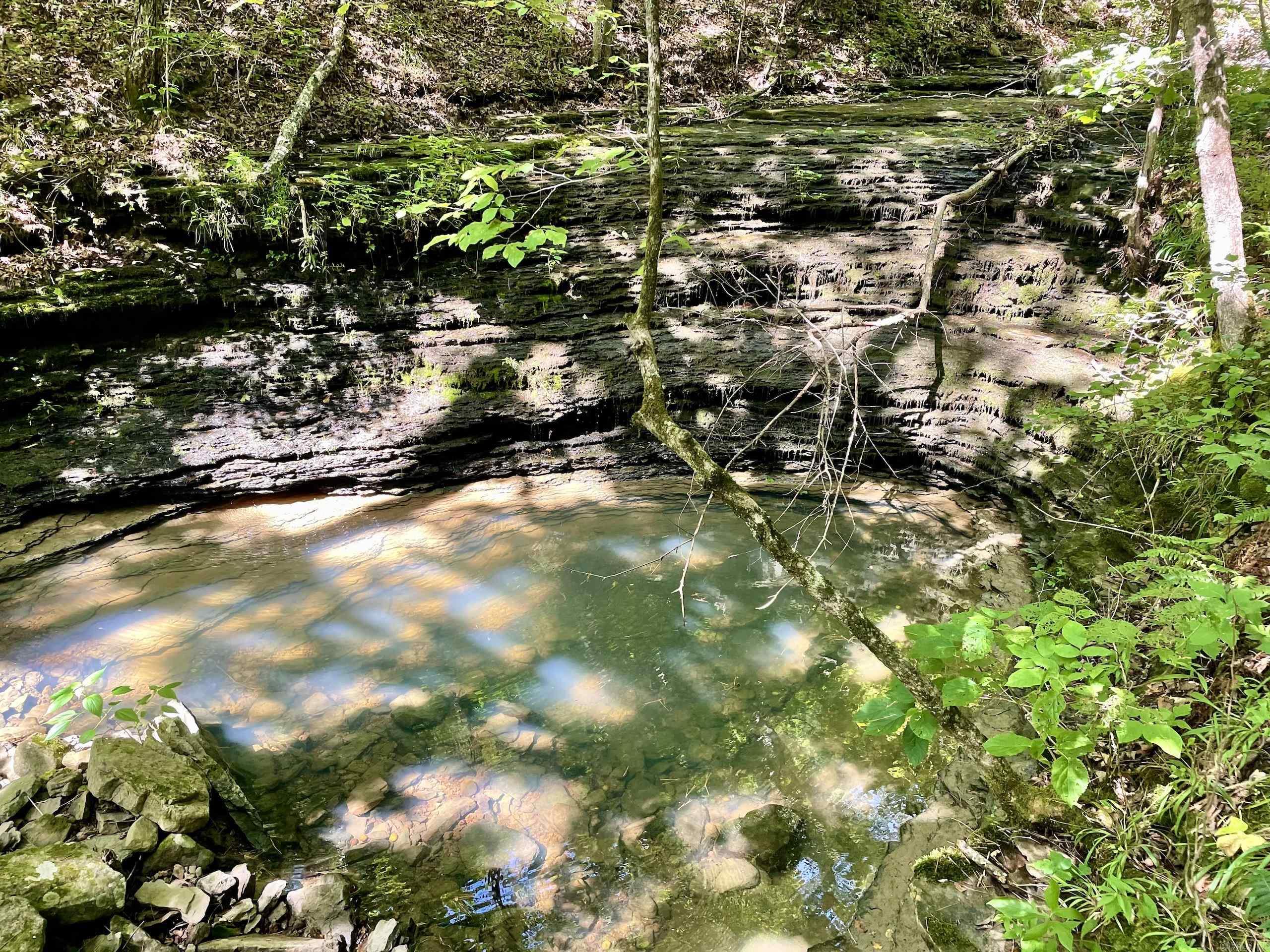 000 Old Brewer Road North  Edgemont, AR