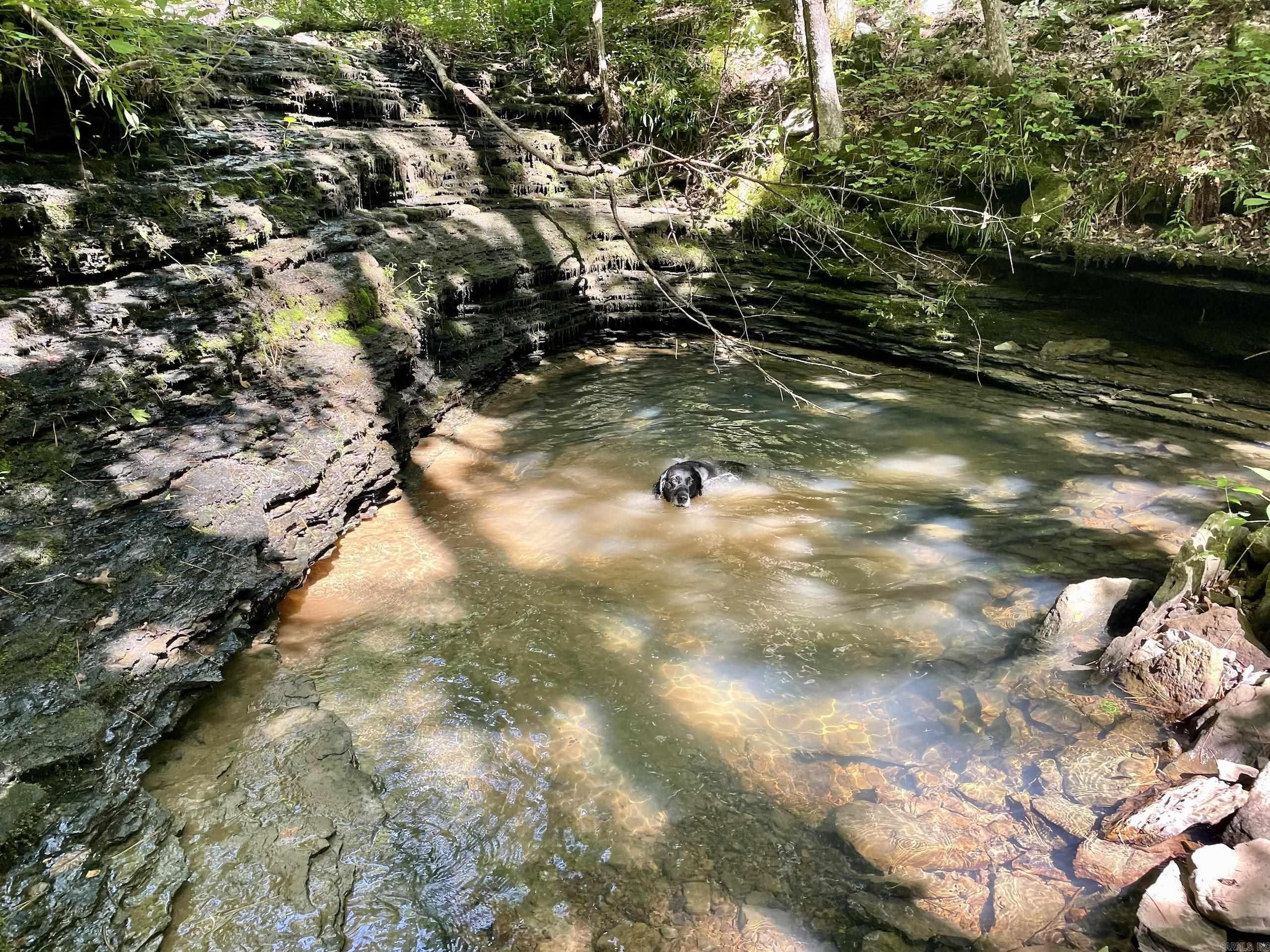 000 Old Brewer Road North  Edgemont, AR