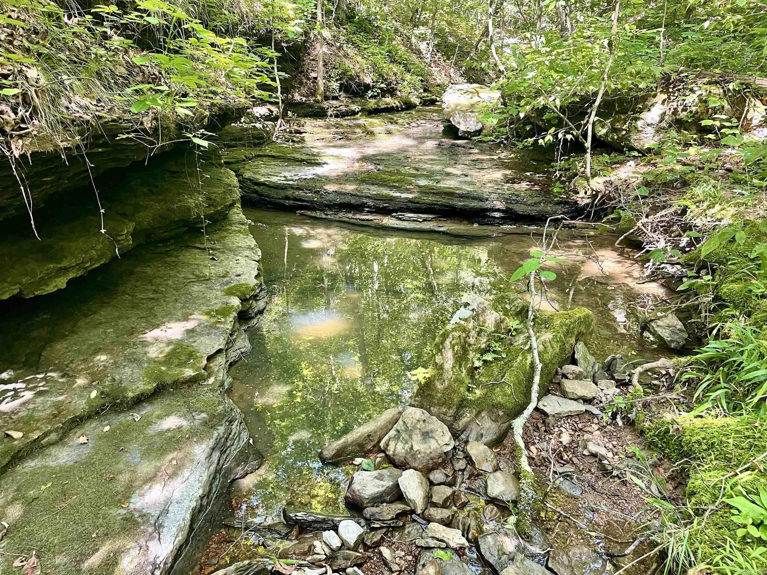 000 Old Brewer Road North  Edgemont, AR