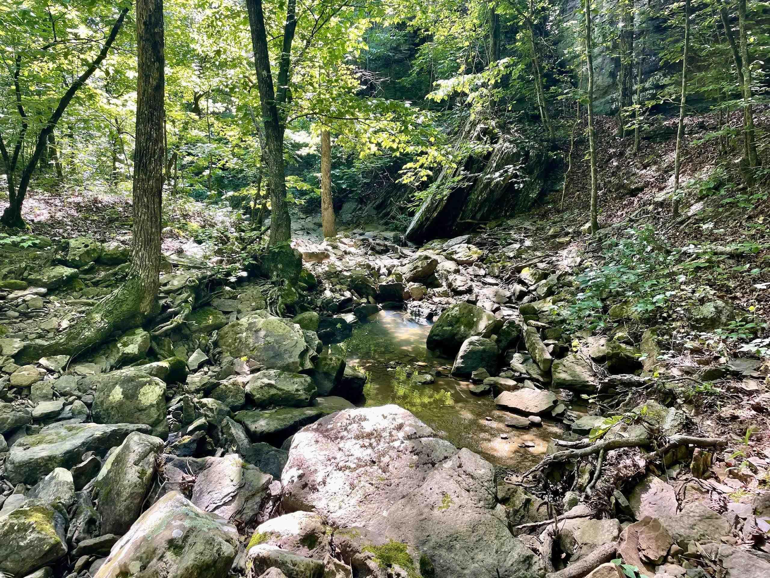 000 Old Brewer Road North  Edgemont, AR