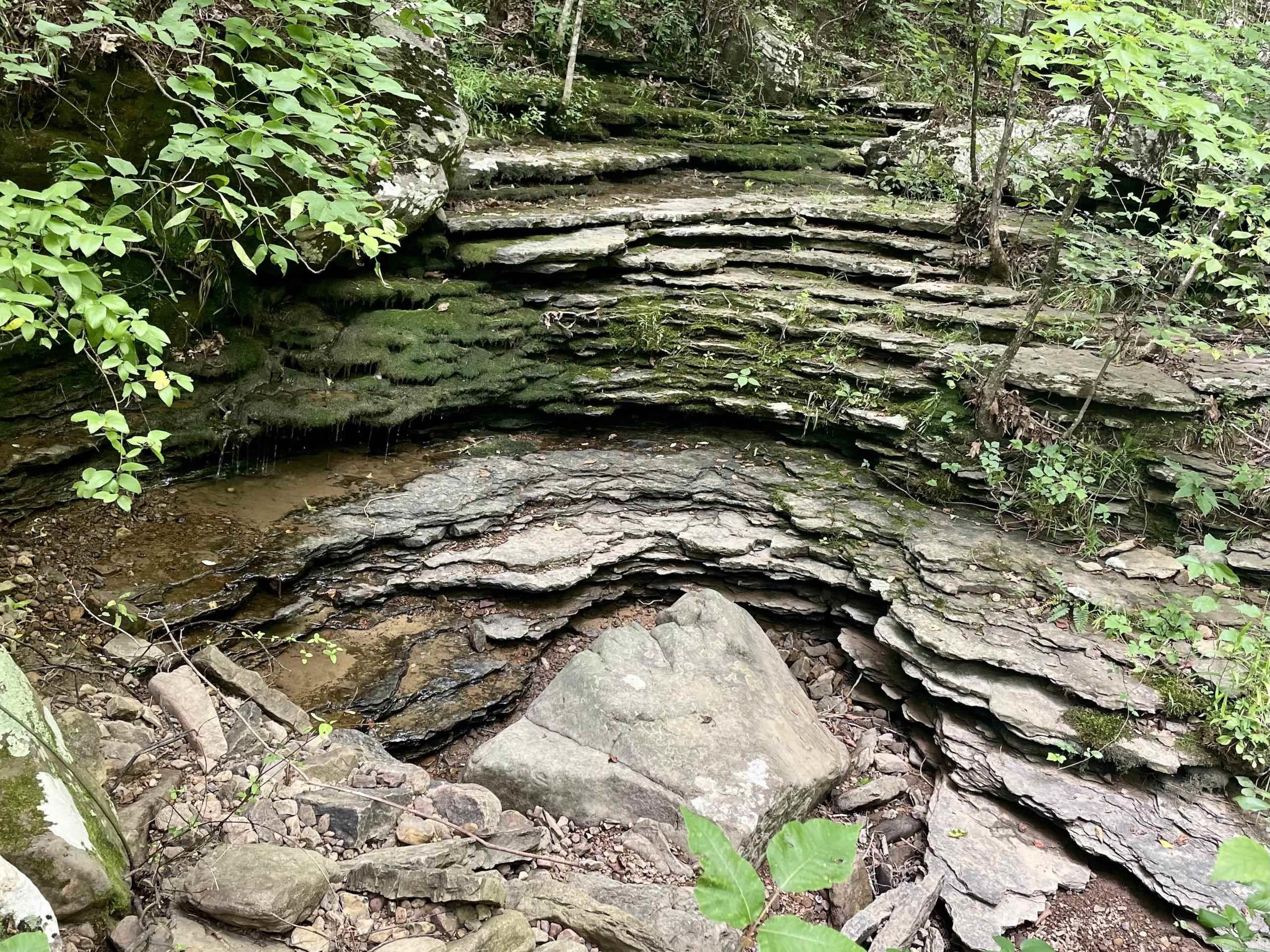 000 Old Brewer Road North  Edgemont, AR