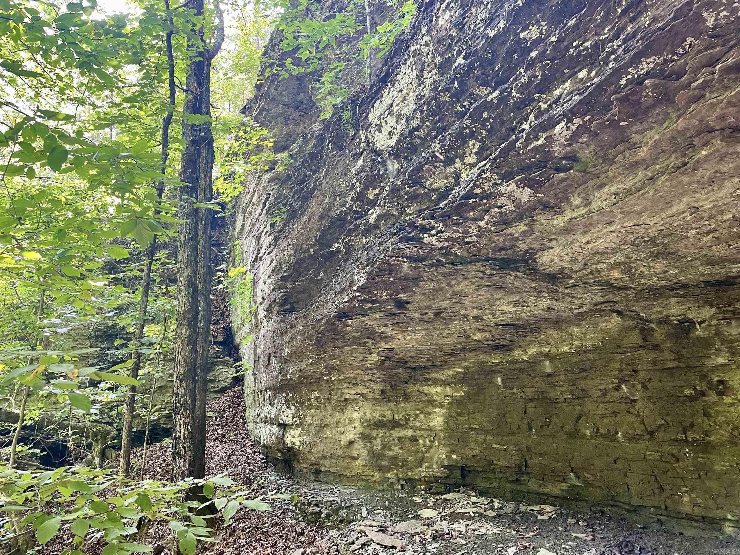 000 Old Brewer Road North  Edgemont, AR