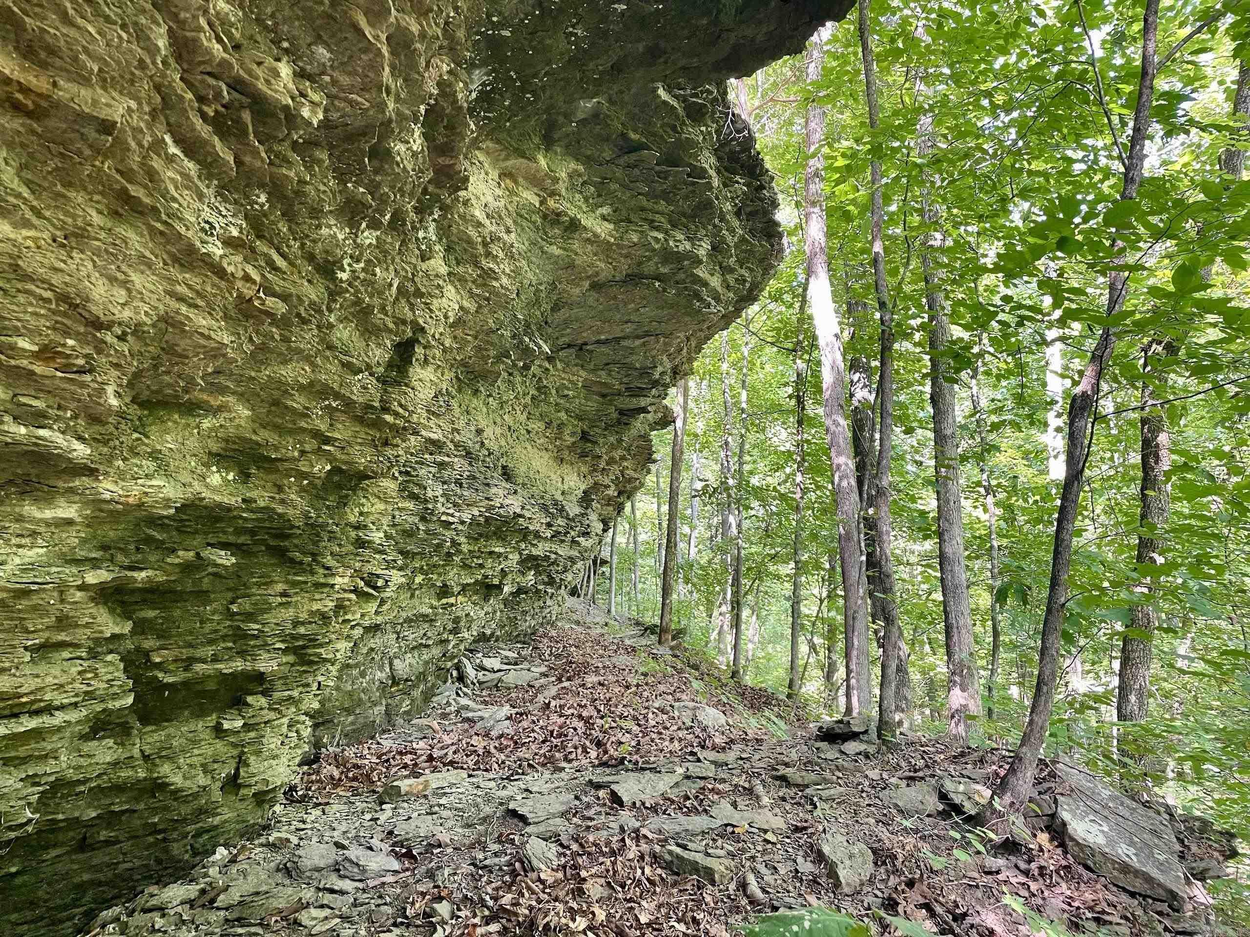 000 Old Brewer Road North  Edgemont, AR