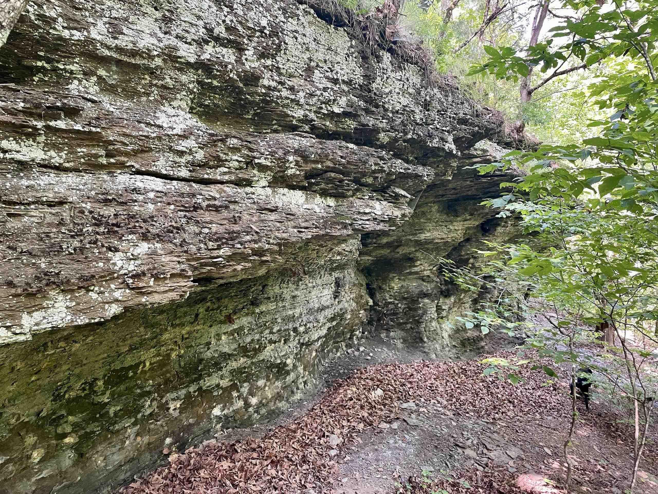 000 Old Brewer Road North  Edgemont, AR