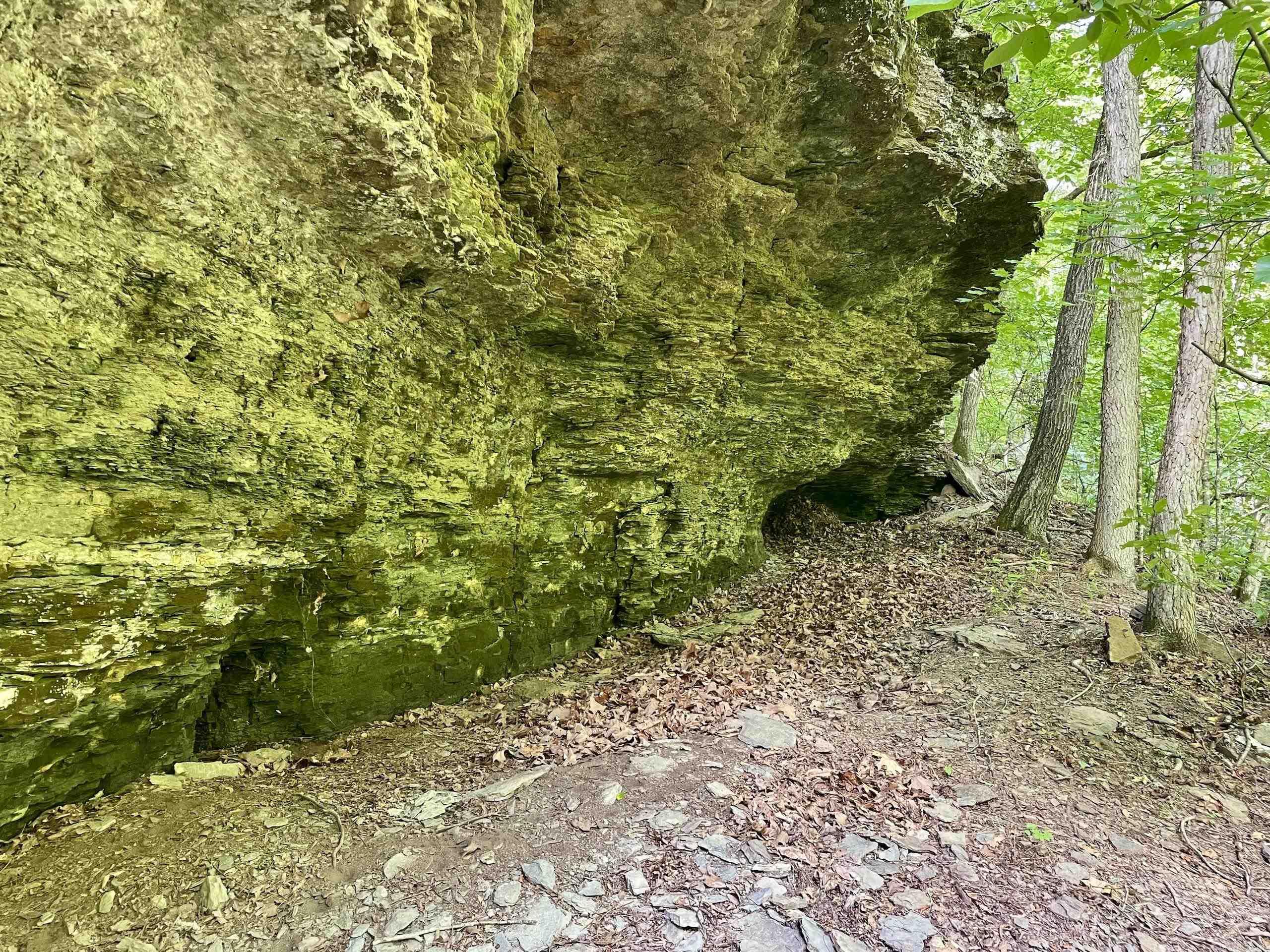 000 Old Brewer Road North  Edgemont, AR