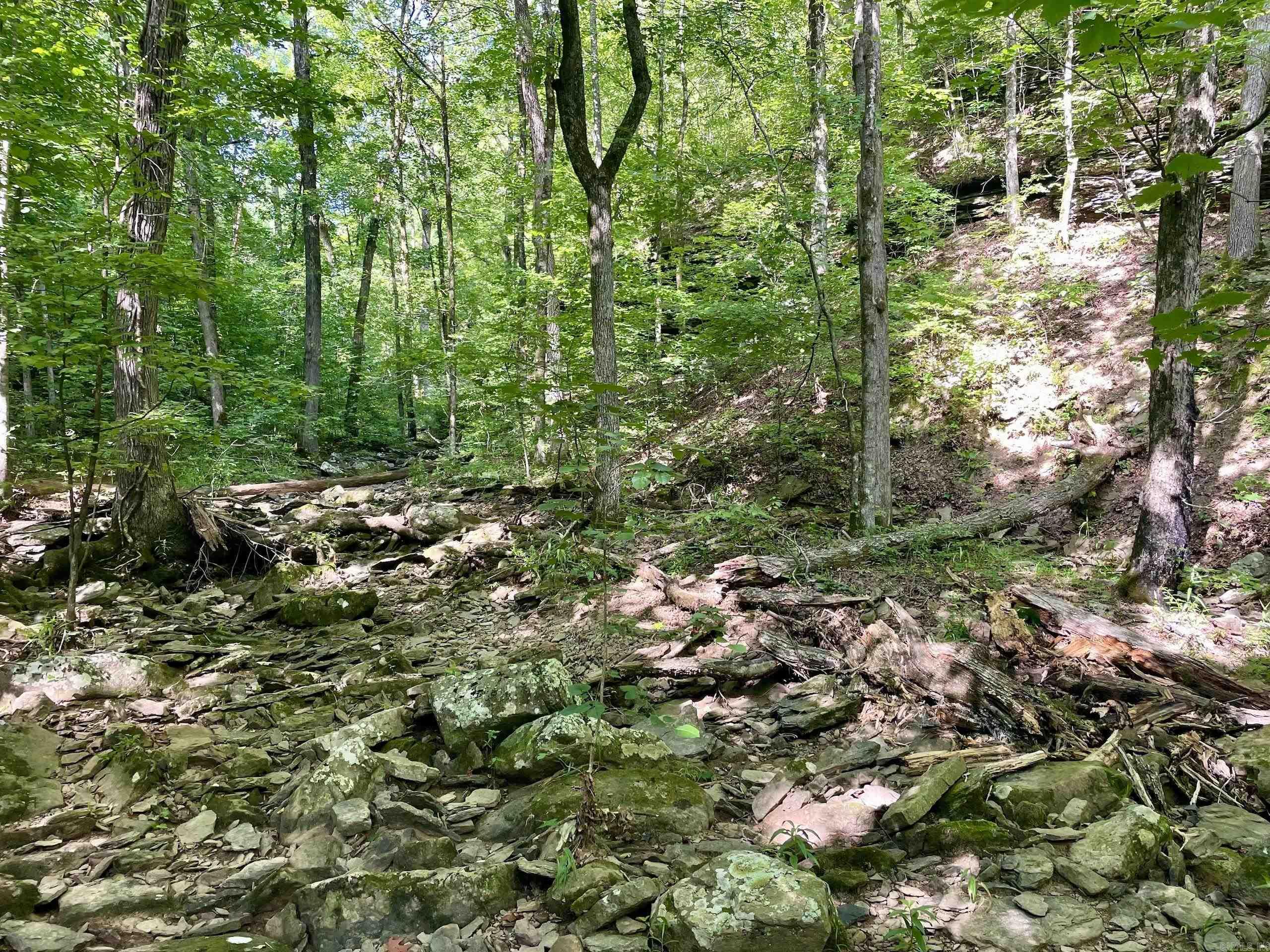 000 Old Brewer Road North  Edgemont, AR