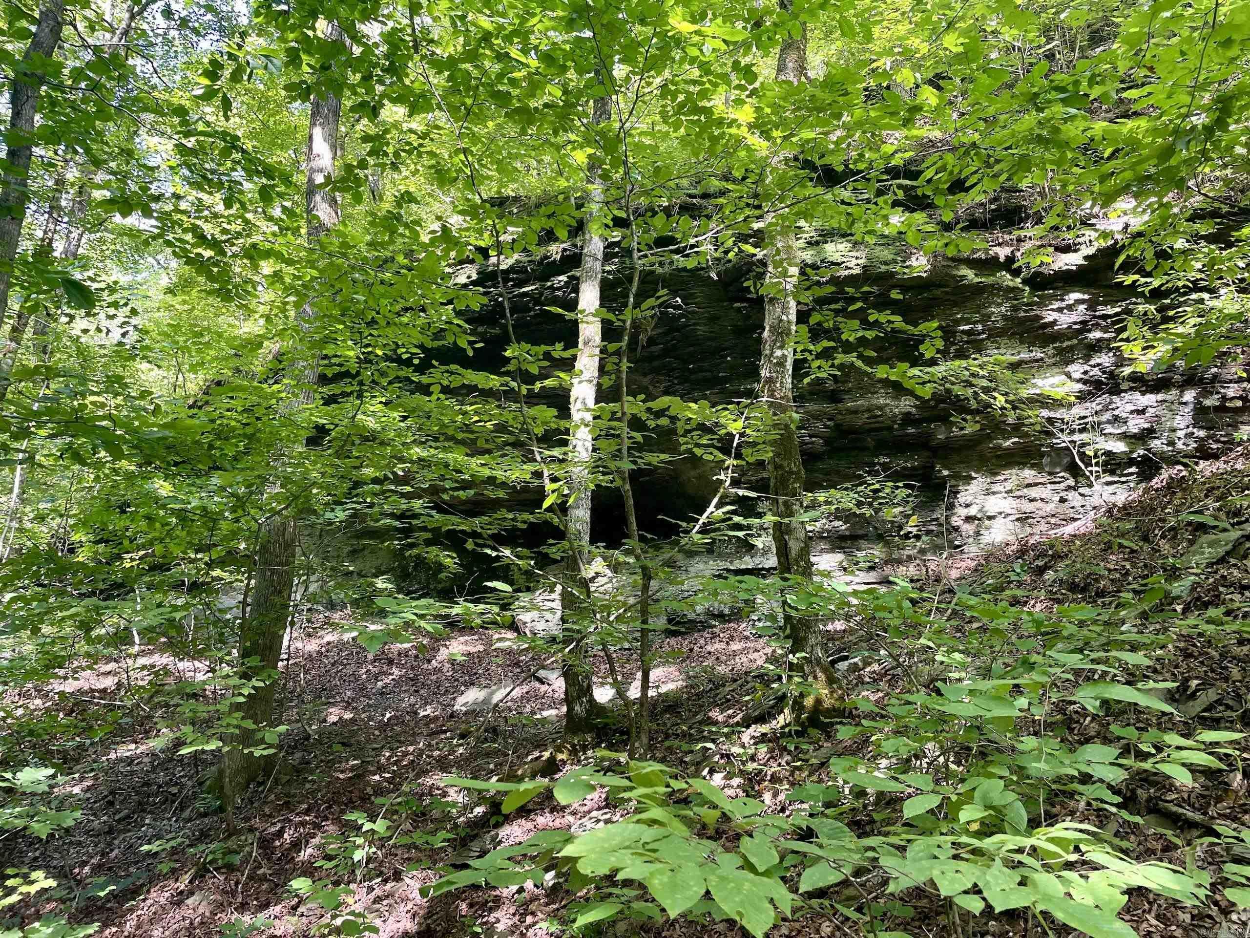 000 Old Brewer Road North  Edgemont, AR