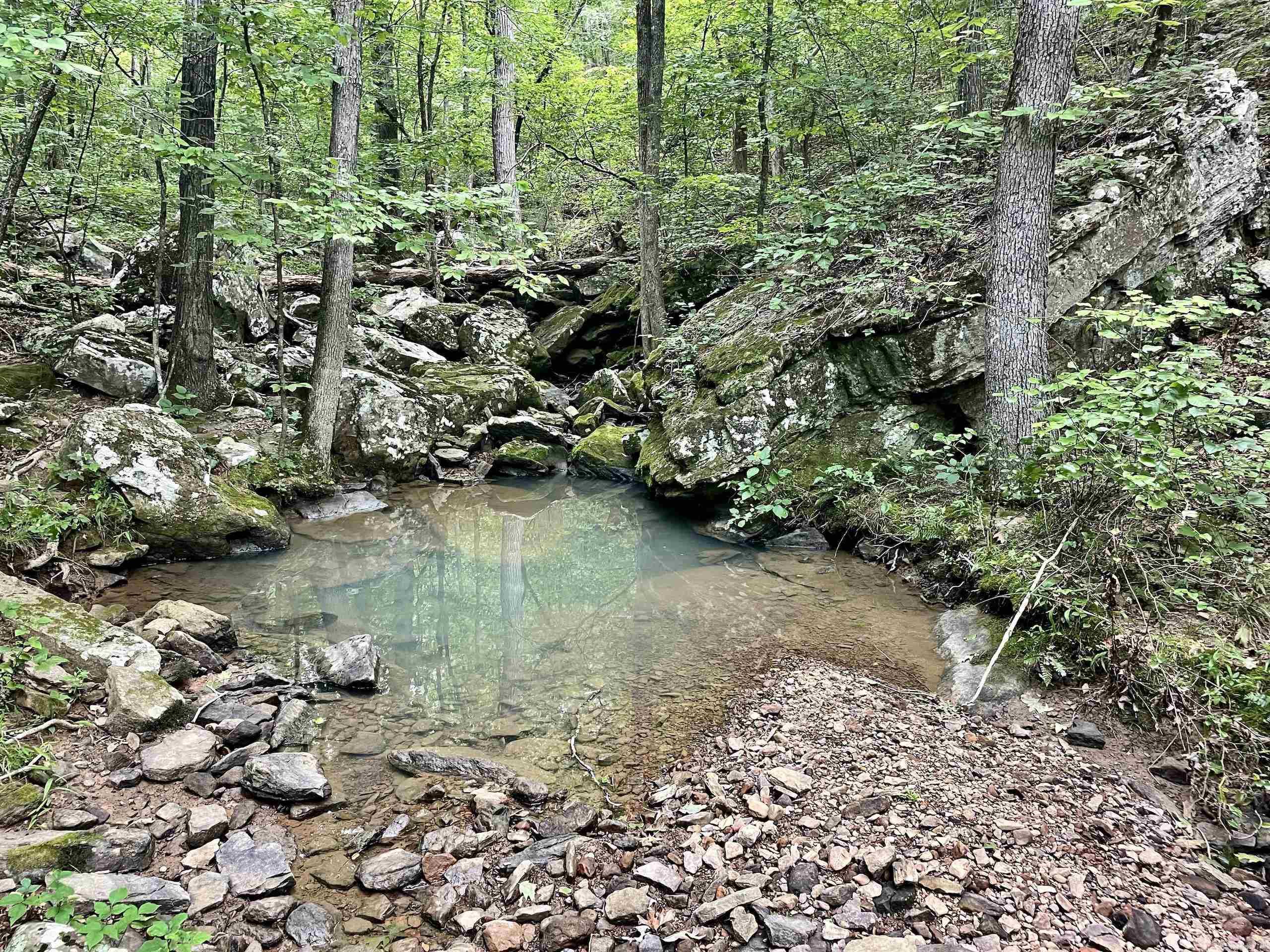 000 Old Brewer Road North  Edgemont, AR