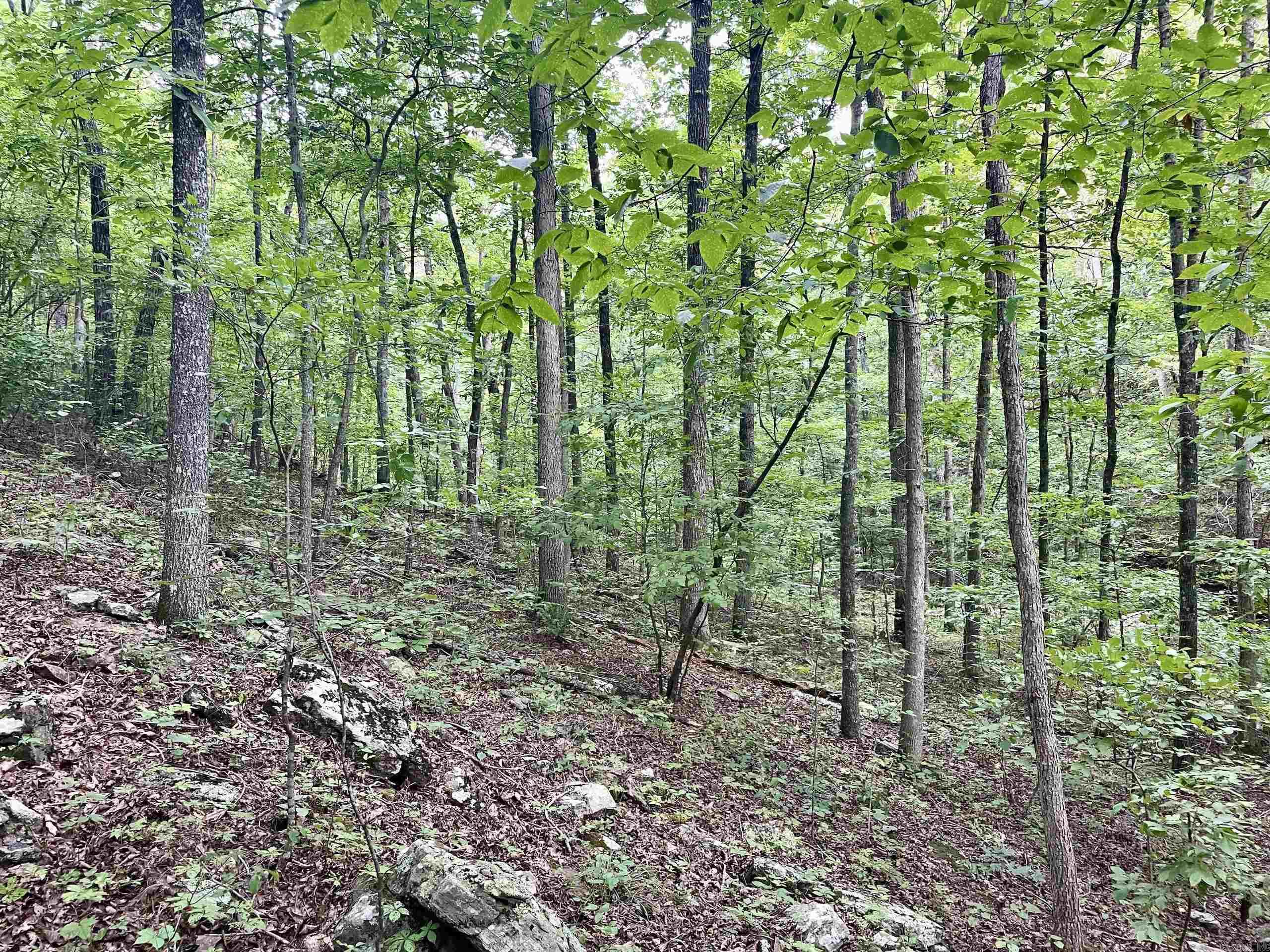 000 Old Brewer Road North  Edgemont, AR