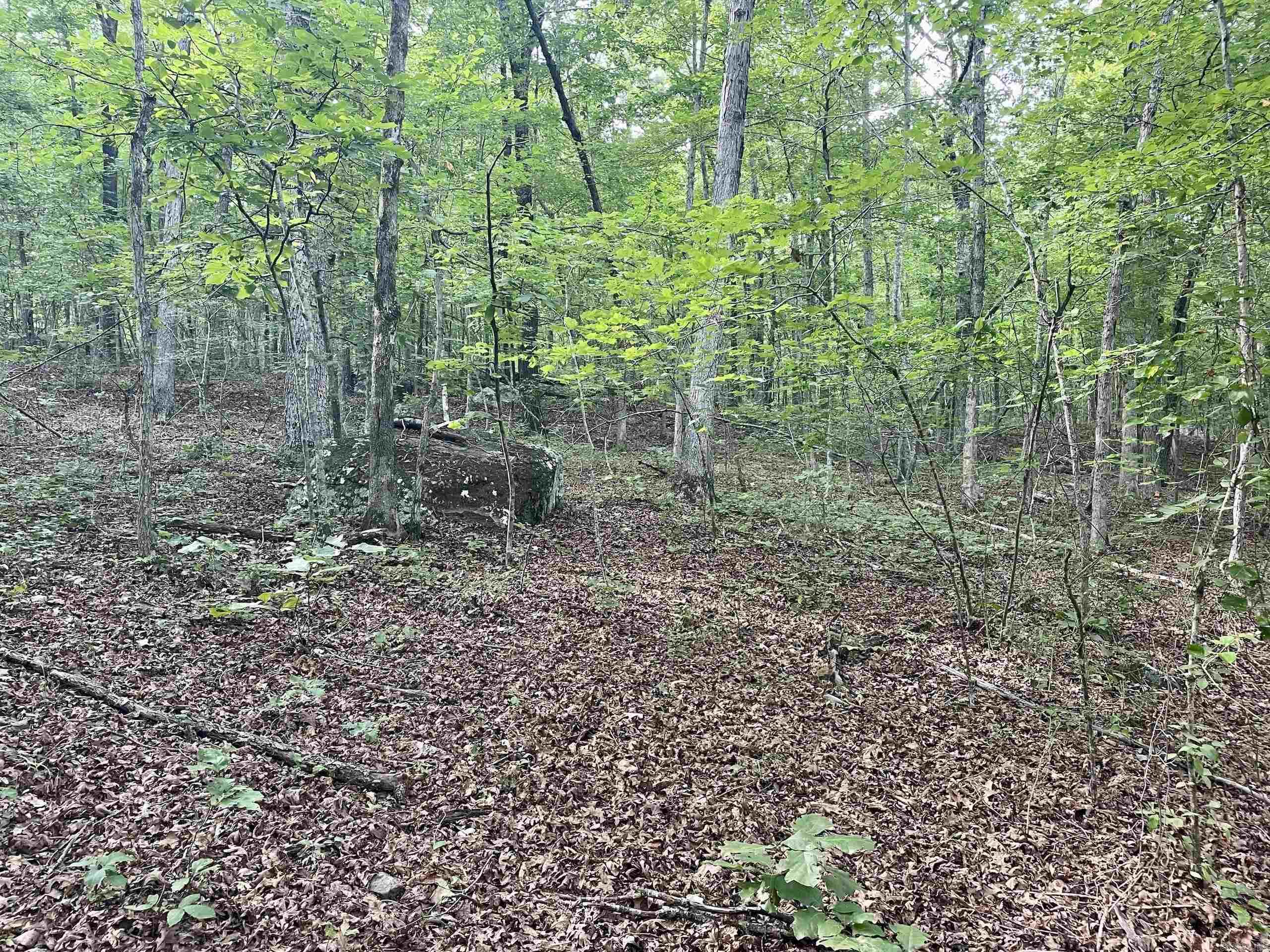 000 Old Brewer Road North  Edgemont, AR