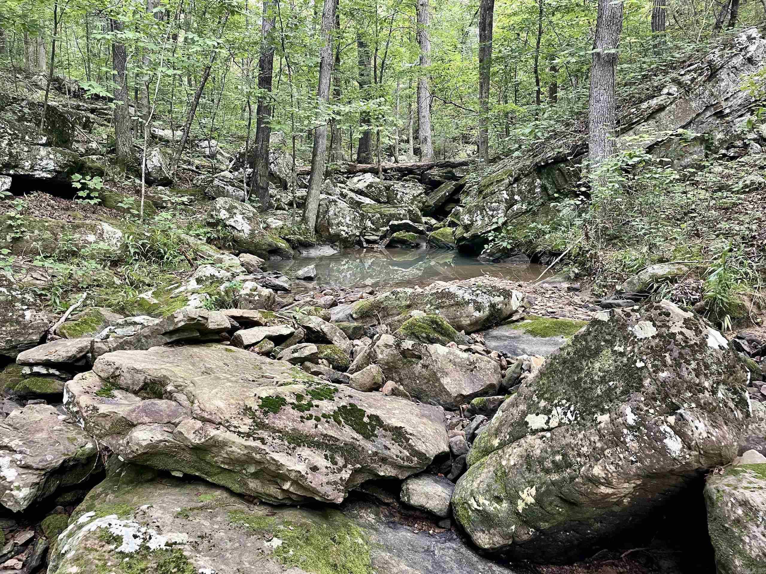 000 Old Brewer Road North  Edgemont, AR