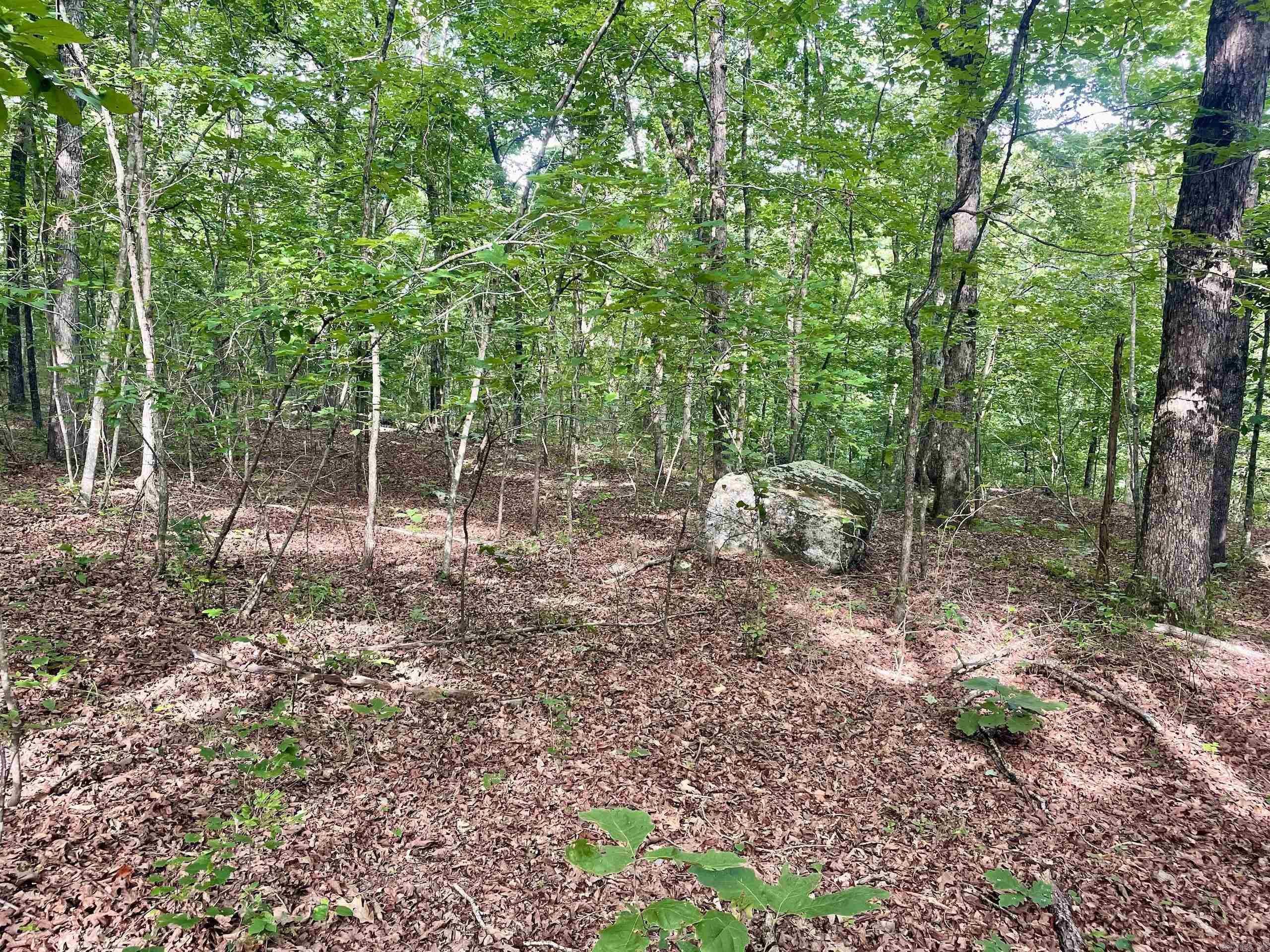 000 Old Brewer Road North  Edgemont, AR