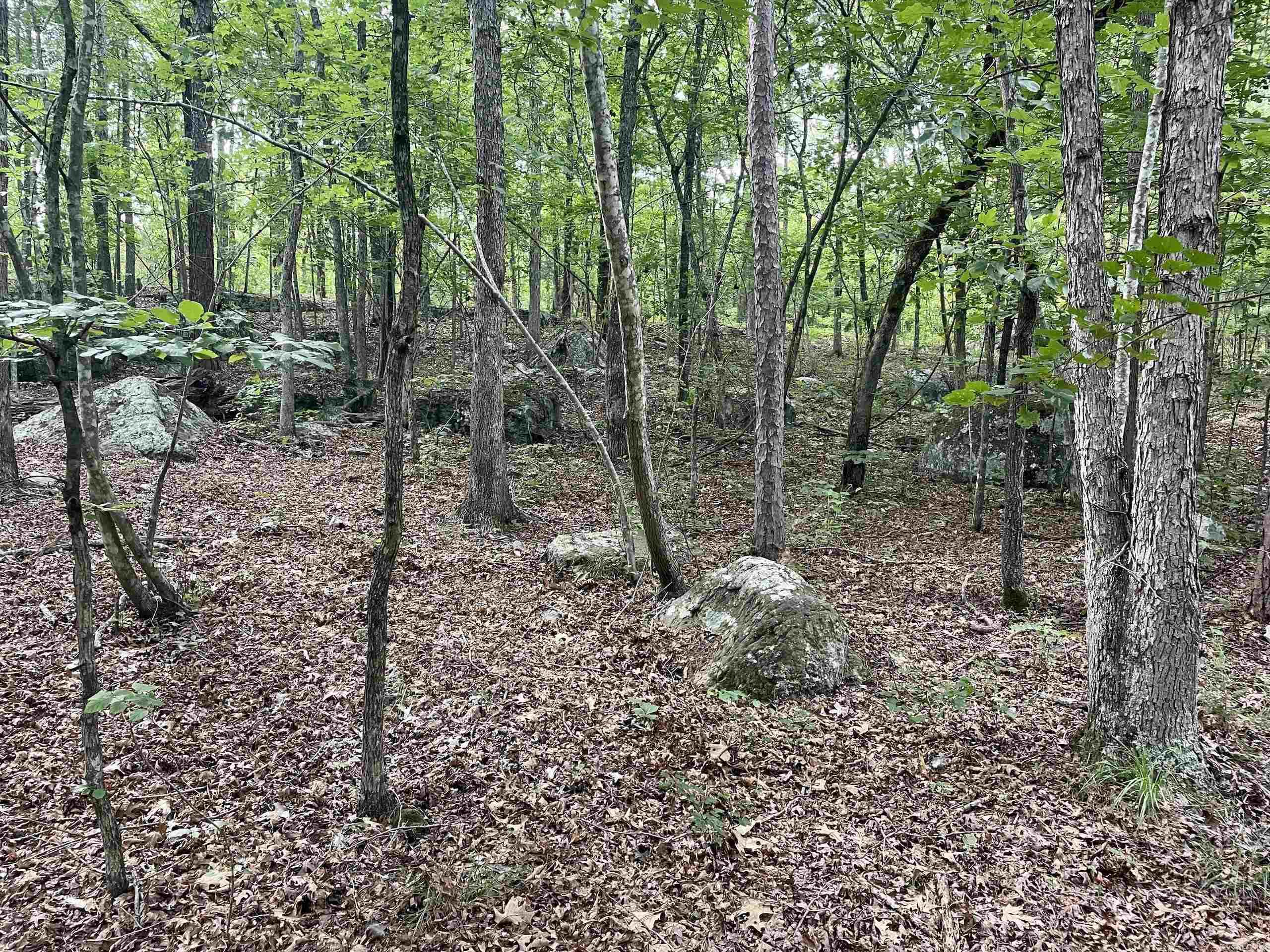 000 Old Brewer Road North  Edgemont, AR