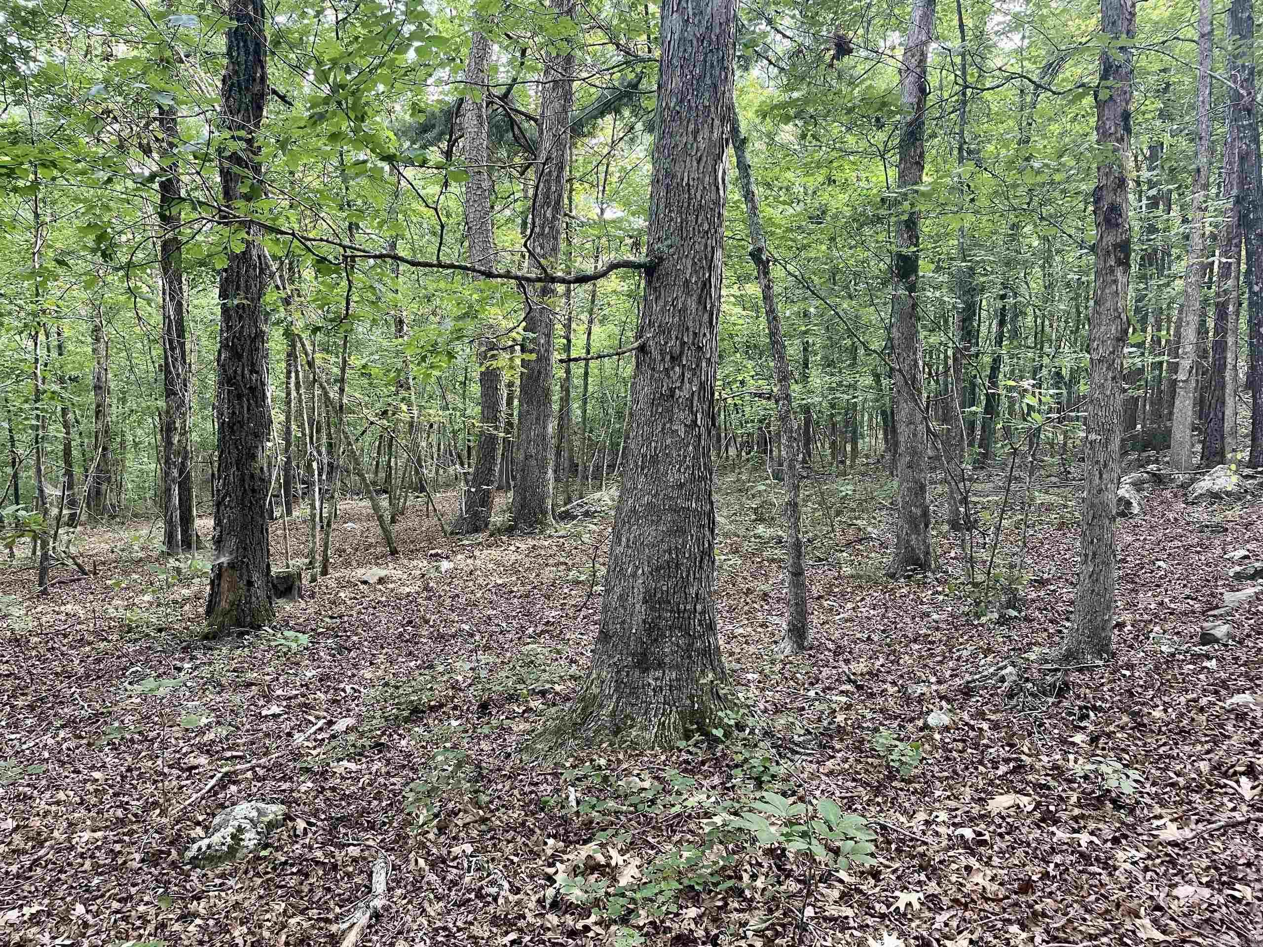 000 Old Brewer Road North  Edgemont, AR