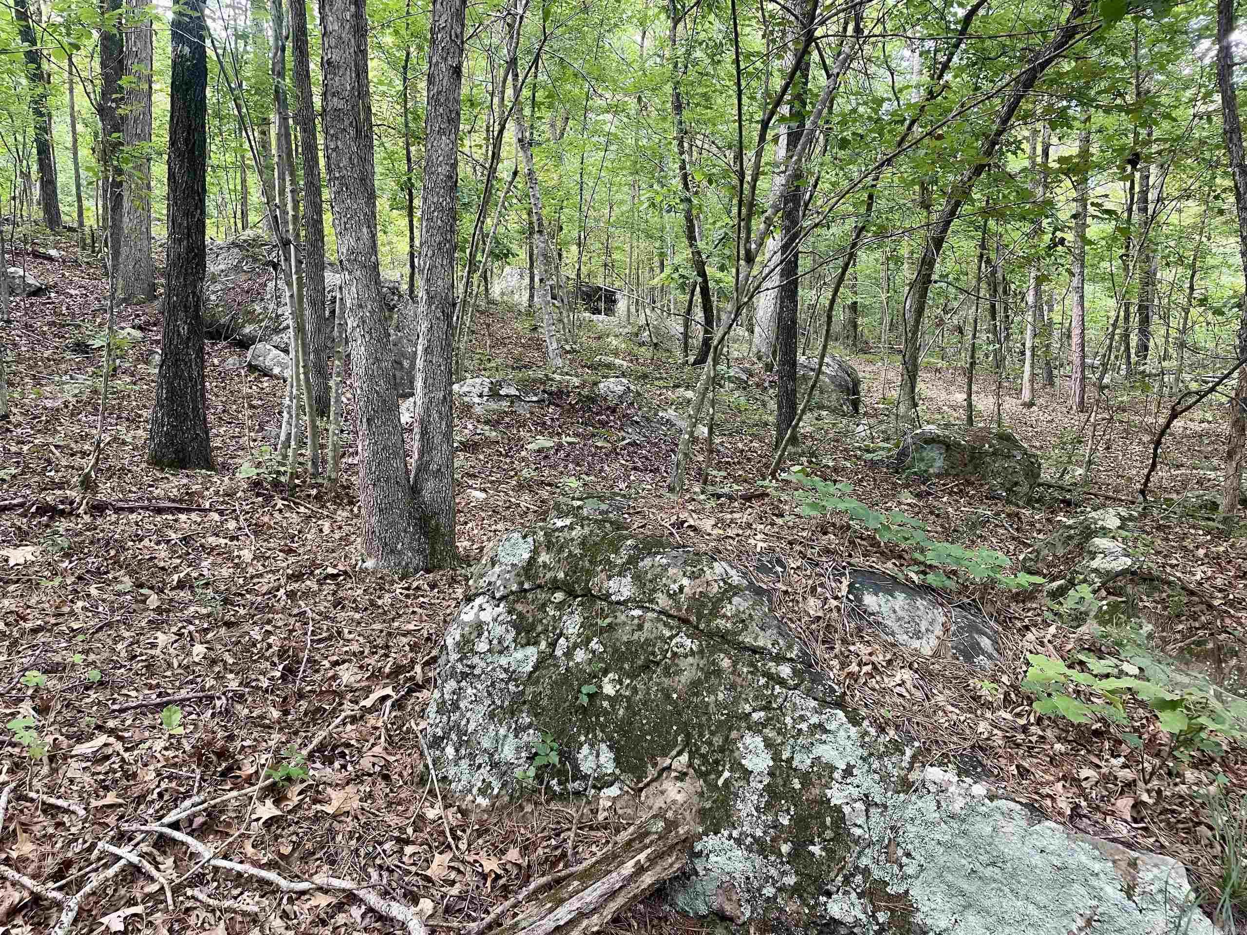 000 Old Brewer Road North  Edgemont, AR