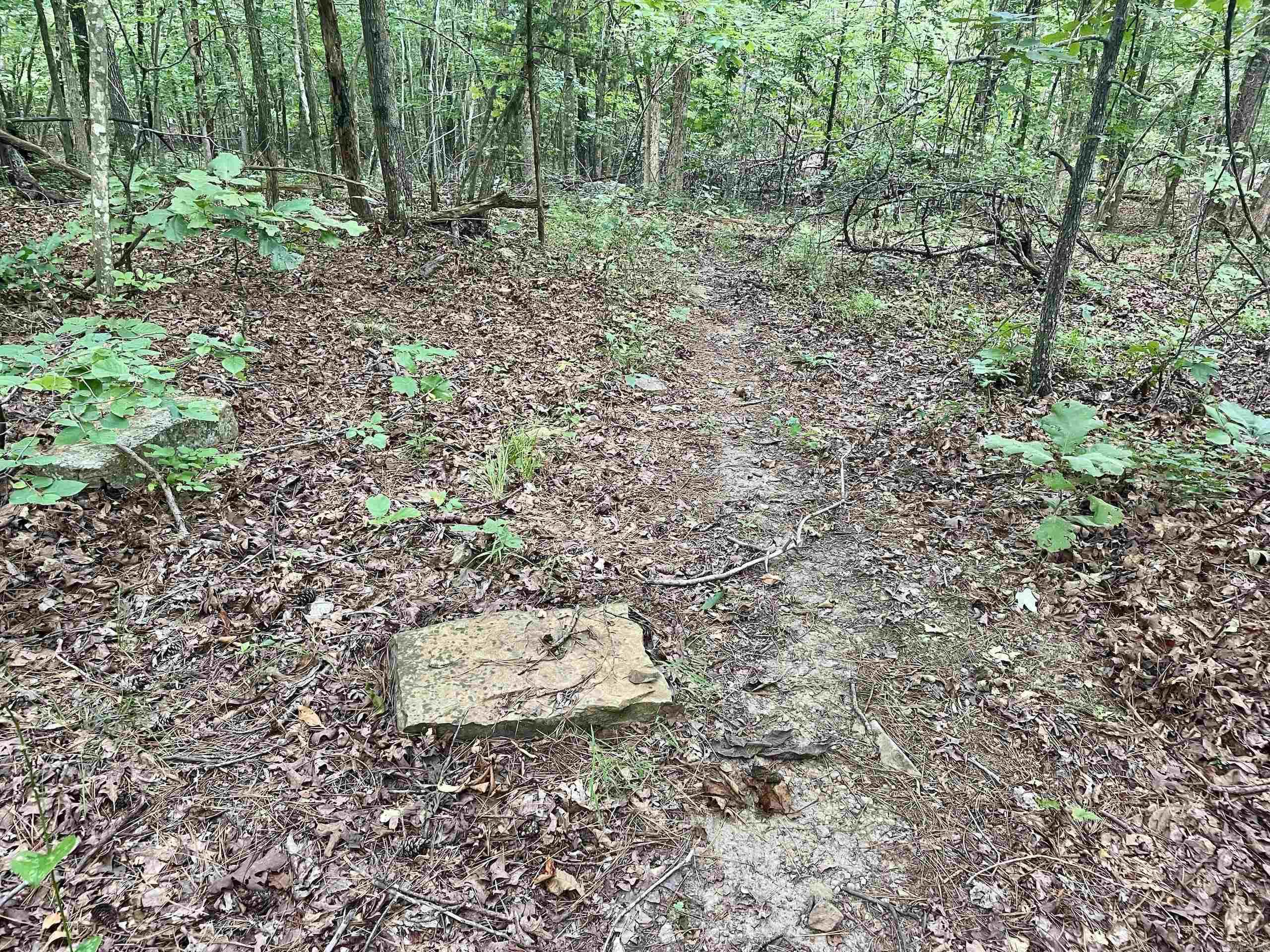 000 Old Brewer Road North  Edgemont, AR