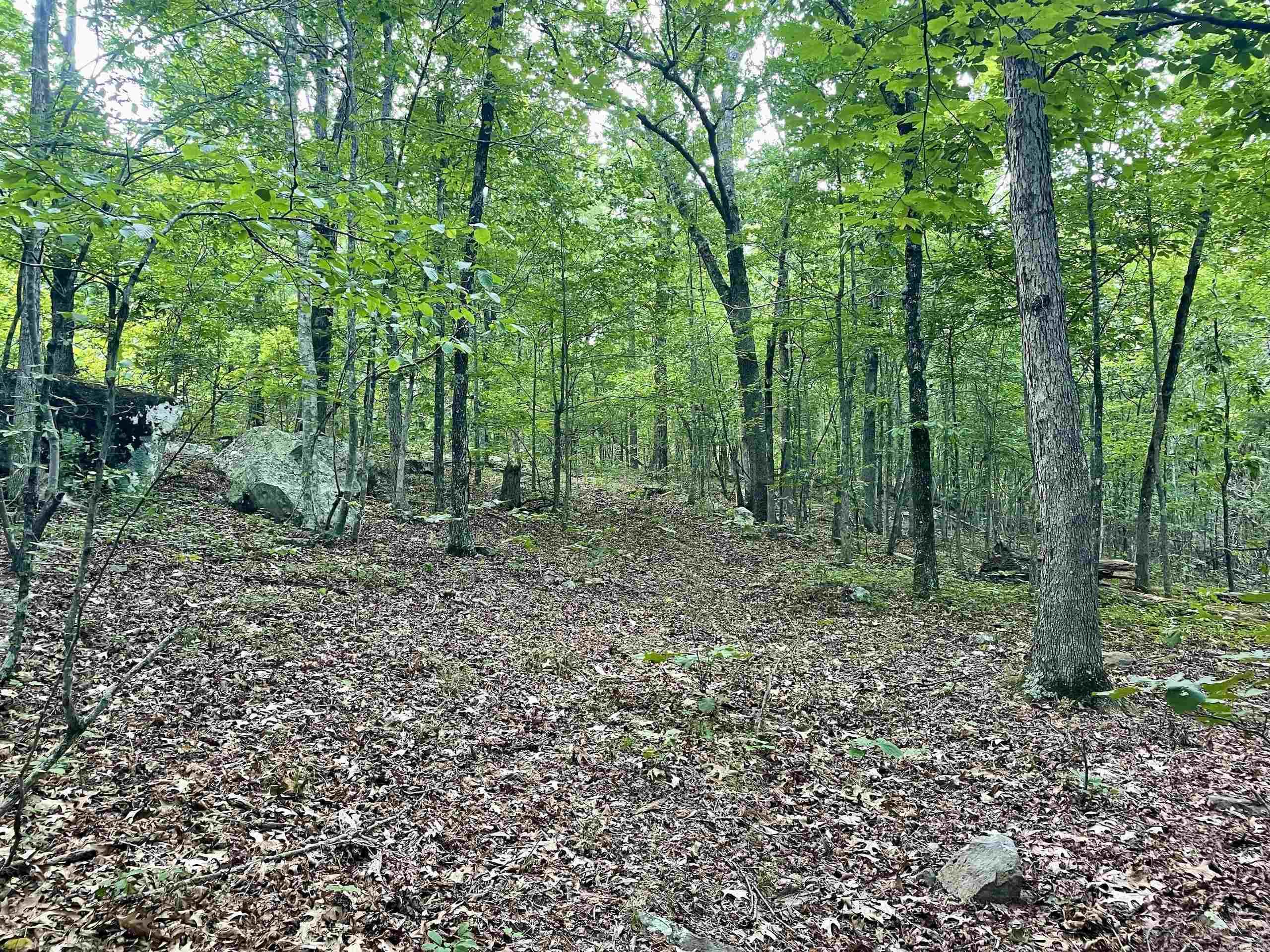 000 Old Brewer Road North  Edgemont, AR