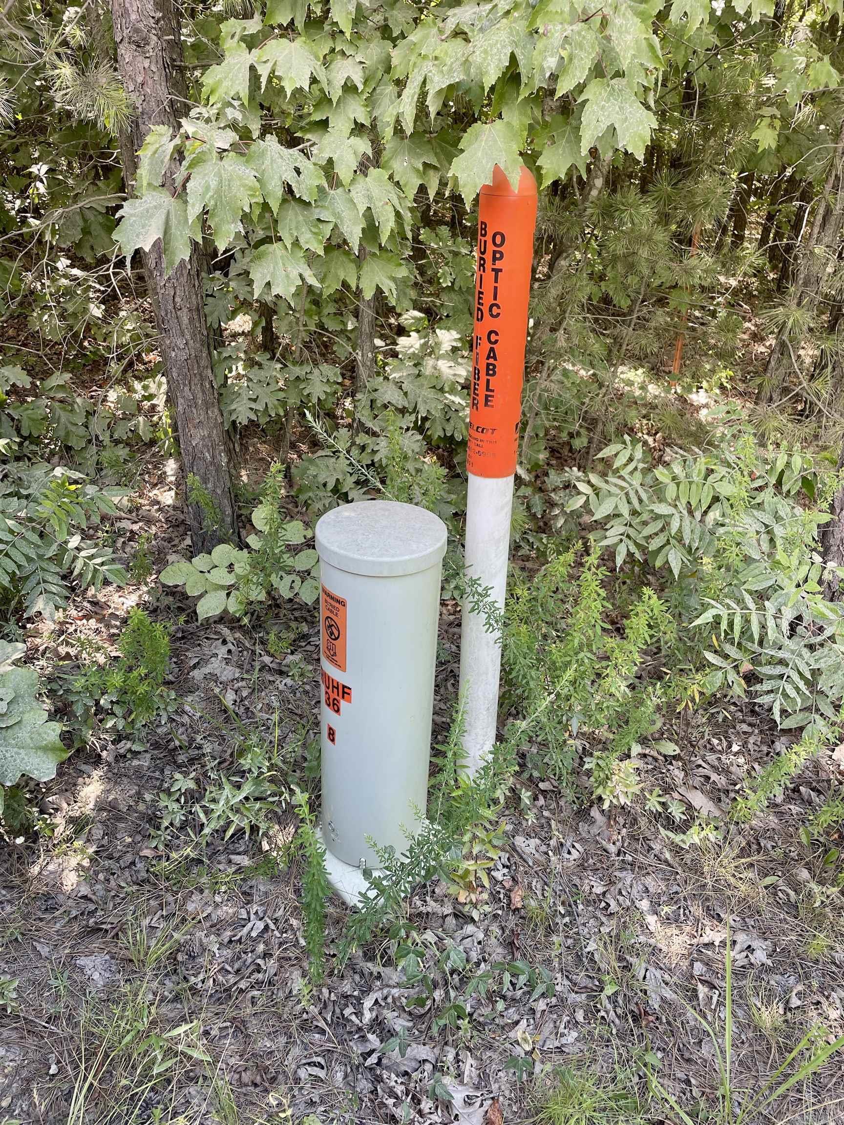 000 Old Brewer Road North  Edgemont, AR