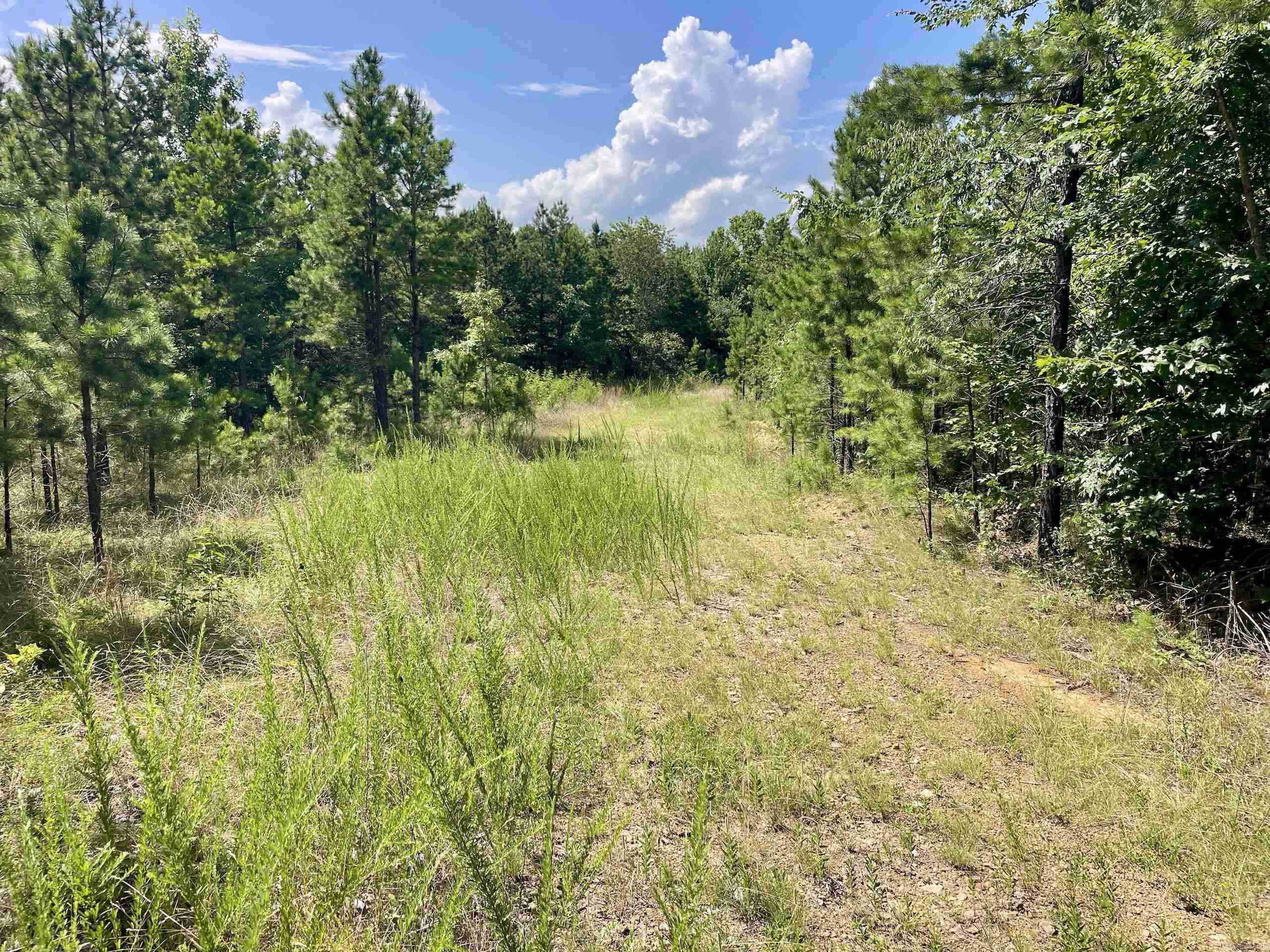 000 Old Brewer Road North  Edgemont, AR