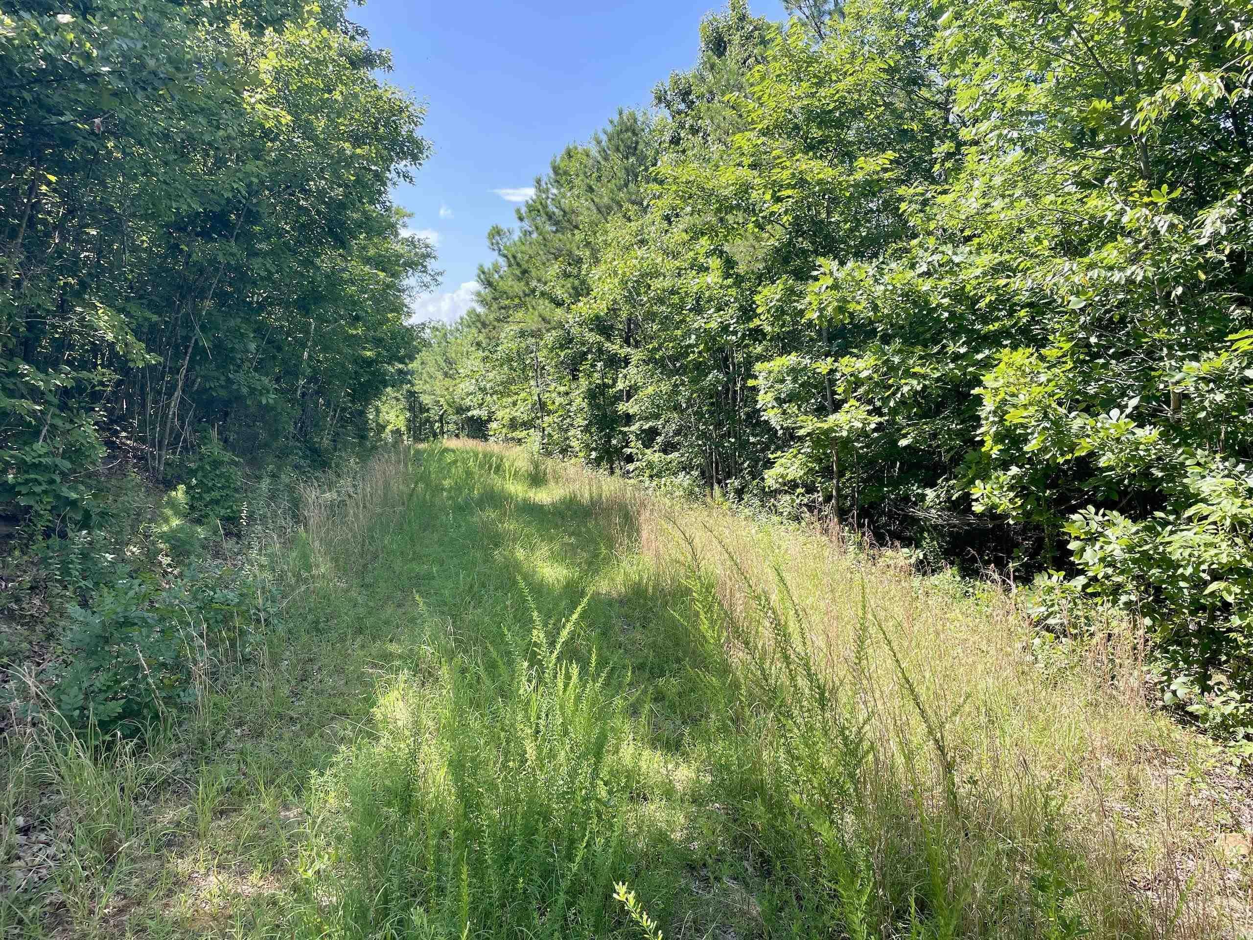 000 Old Brewer Road North  Edgemont, AR