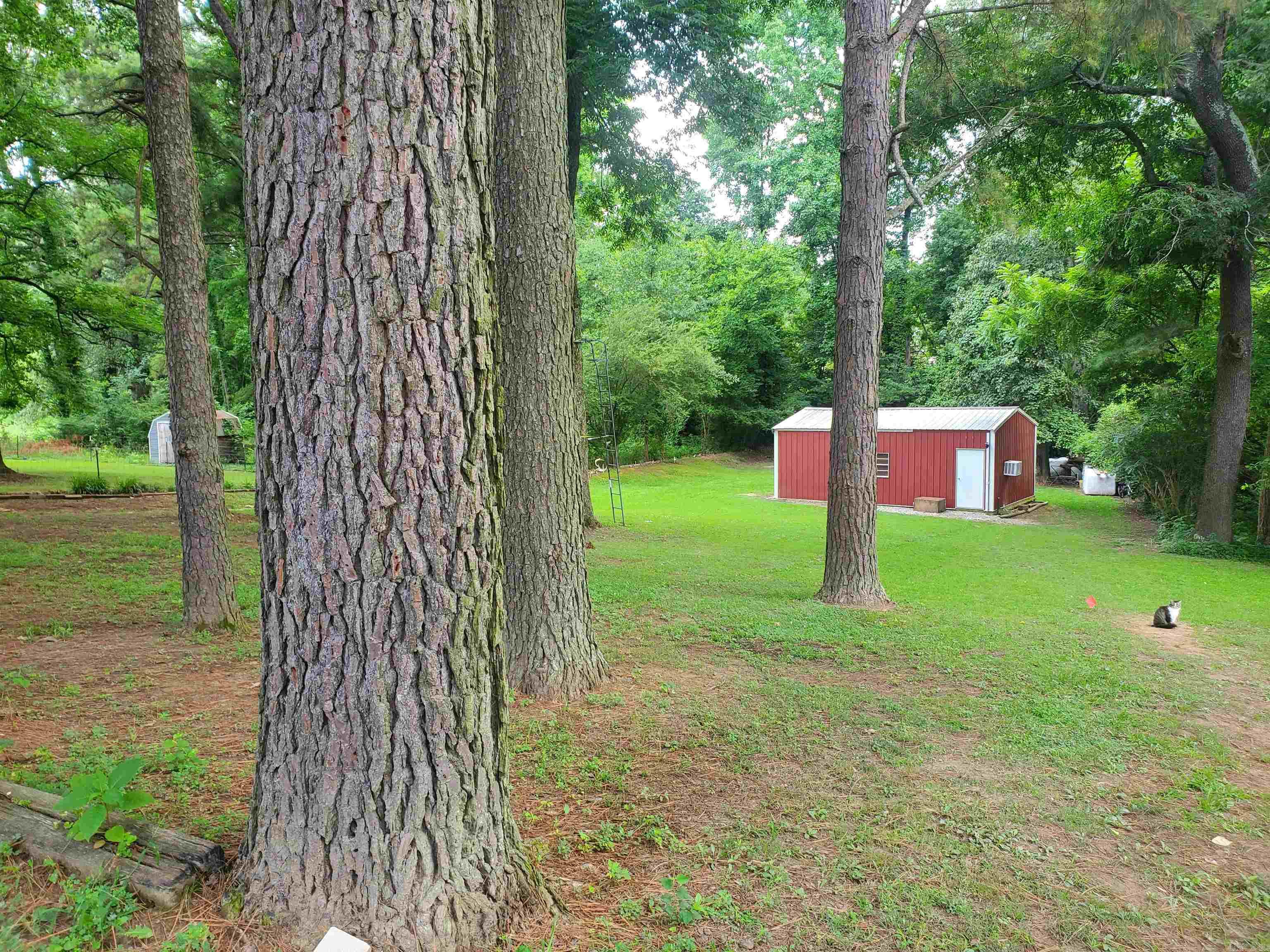 691 Crestline  Piggott, AR