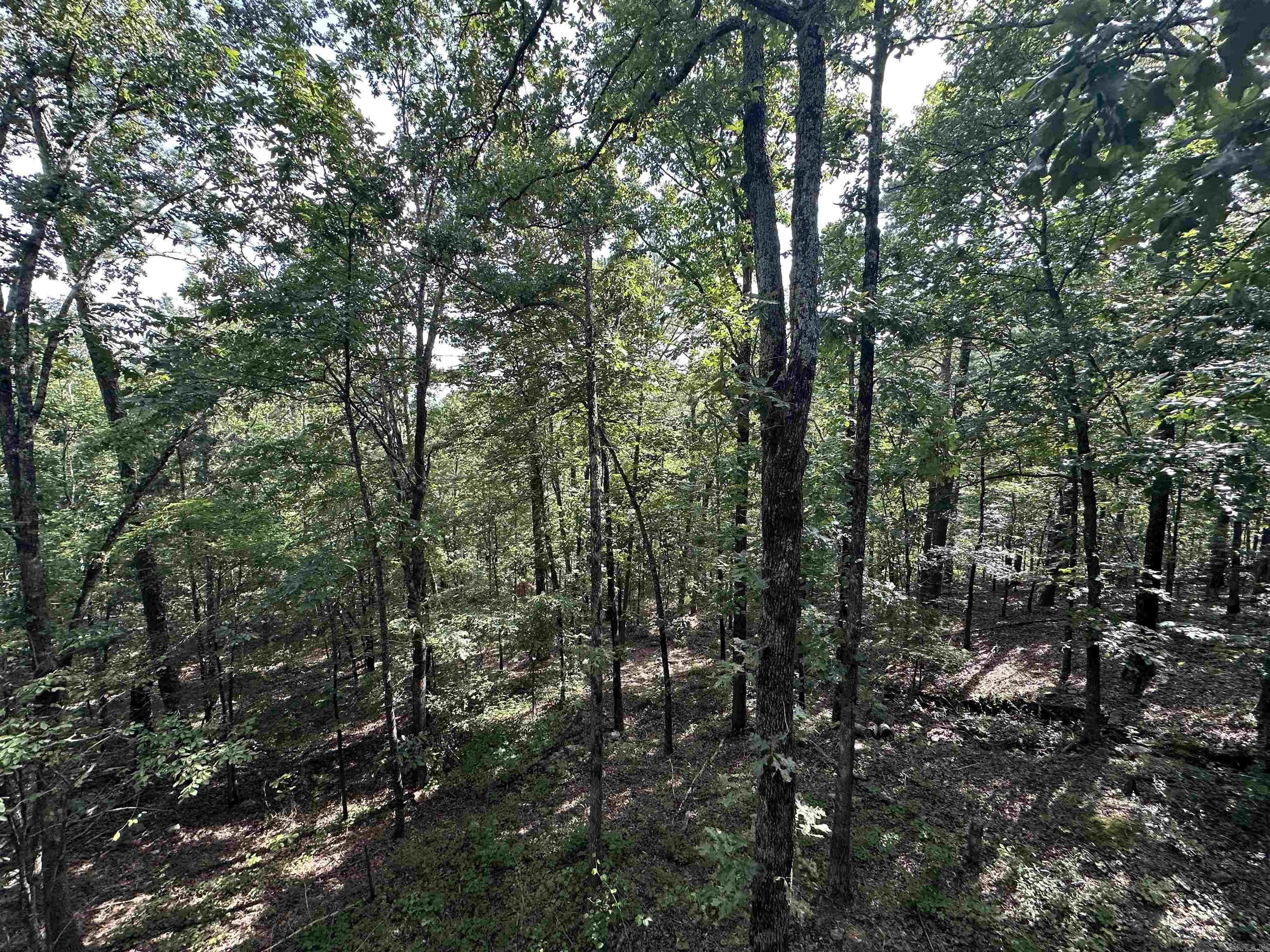 175 Burnt Rock Falls Rd  Fairfield Bay, AR