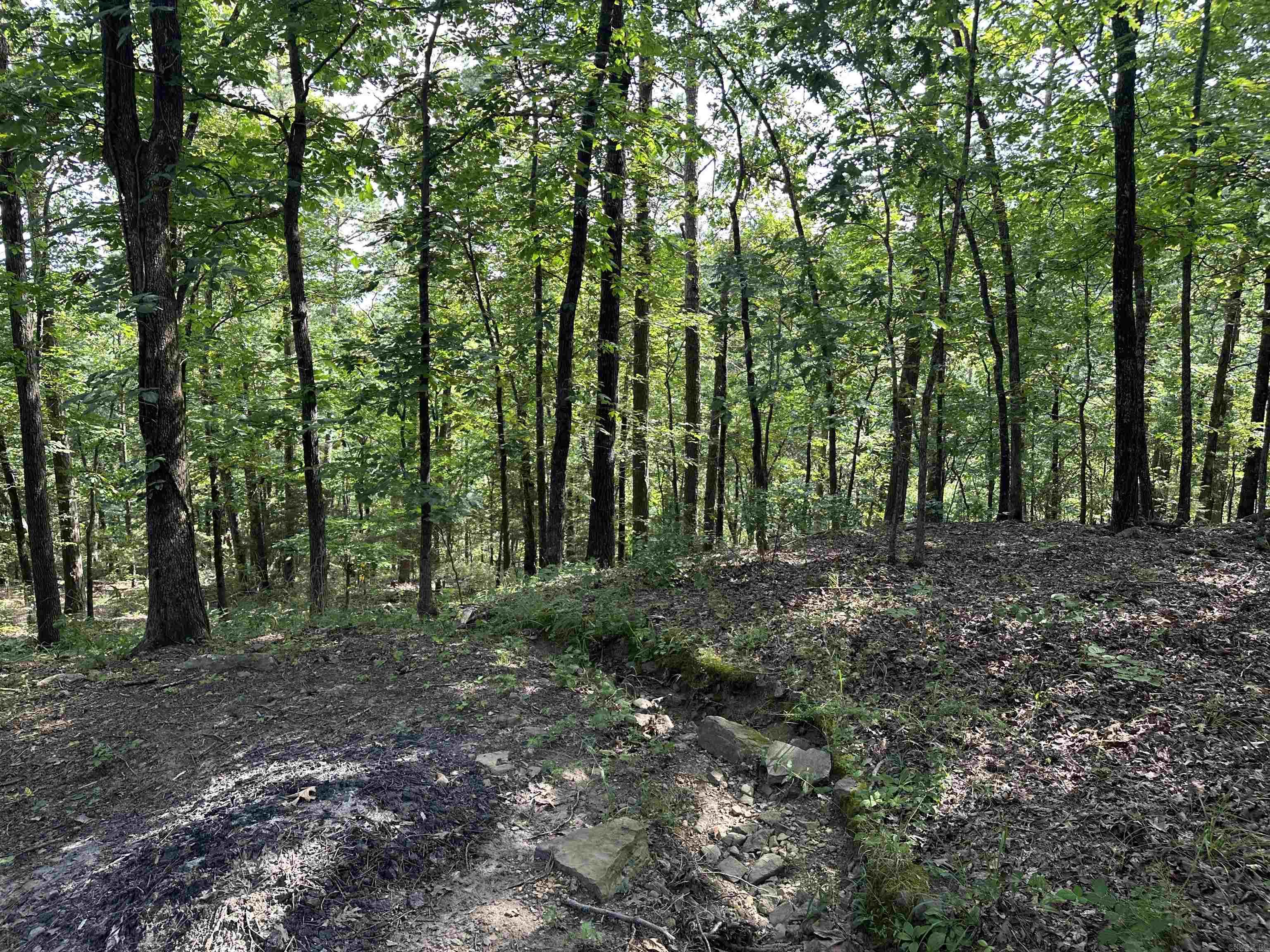 175 Burnt Rock Falls Rd  Fairfield Bay, AR