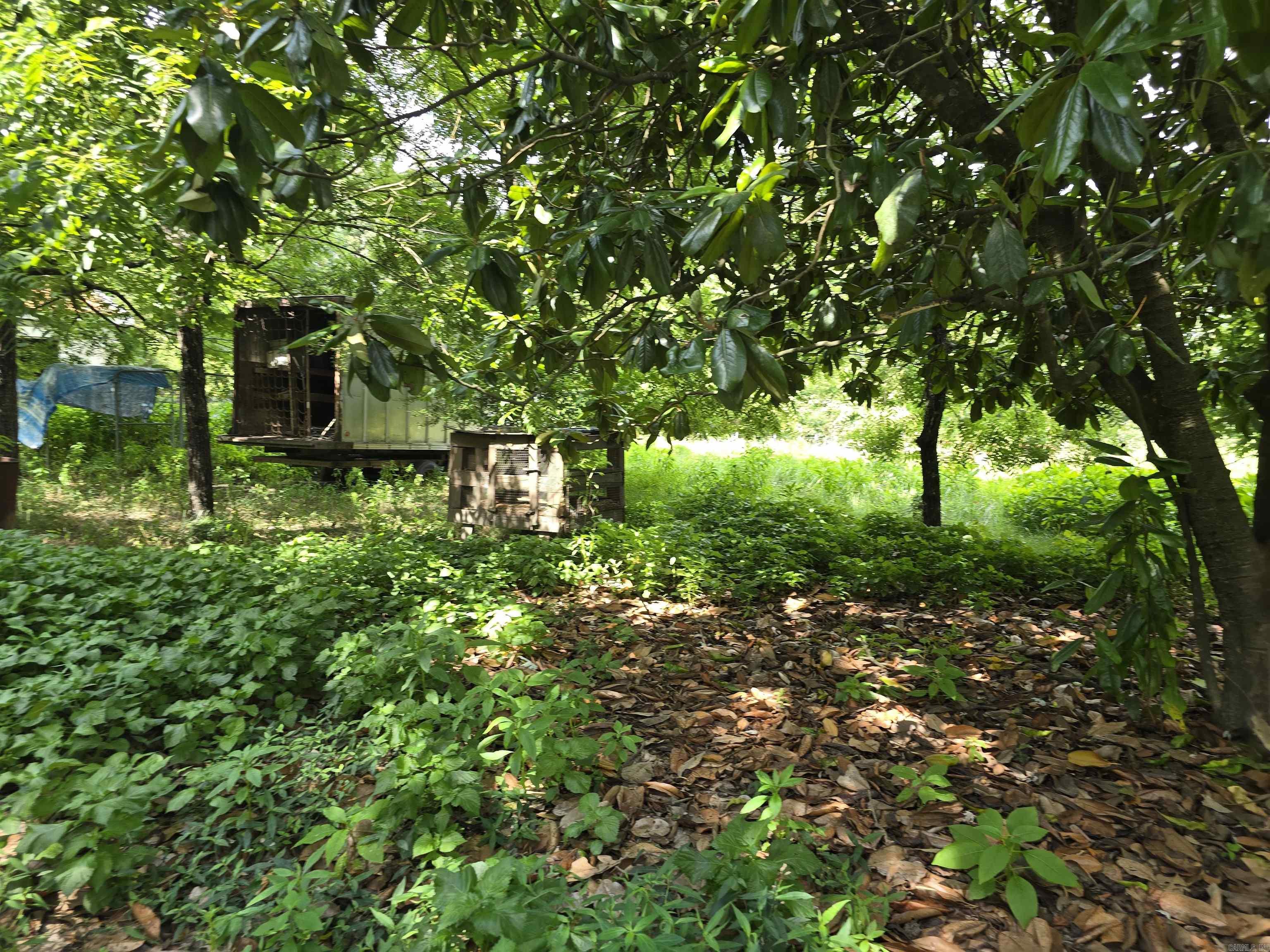 130 Polk Road 30  Hatfield, AR