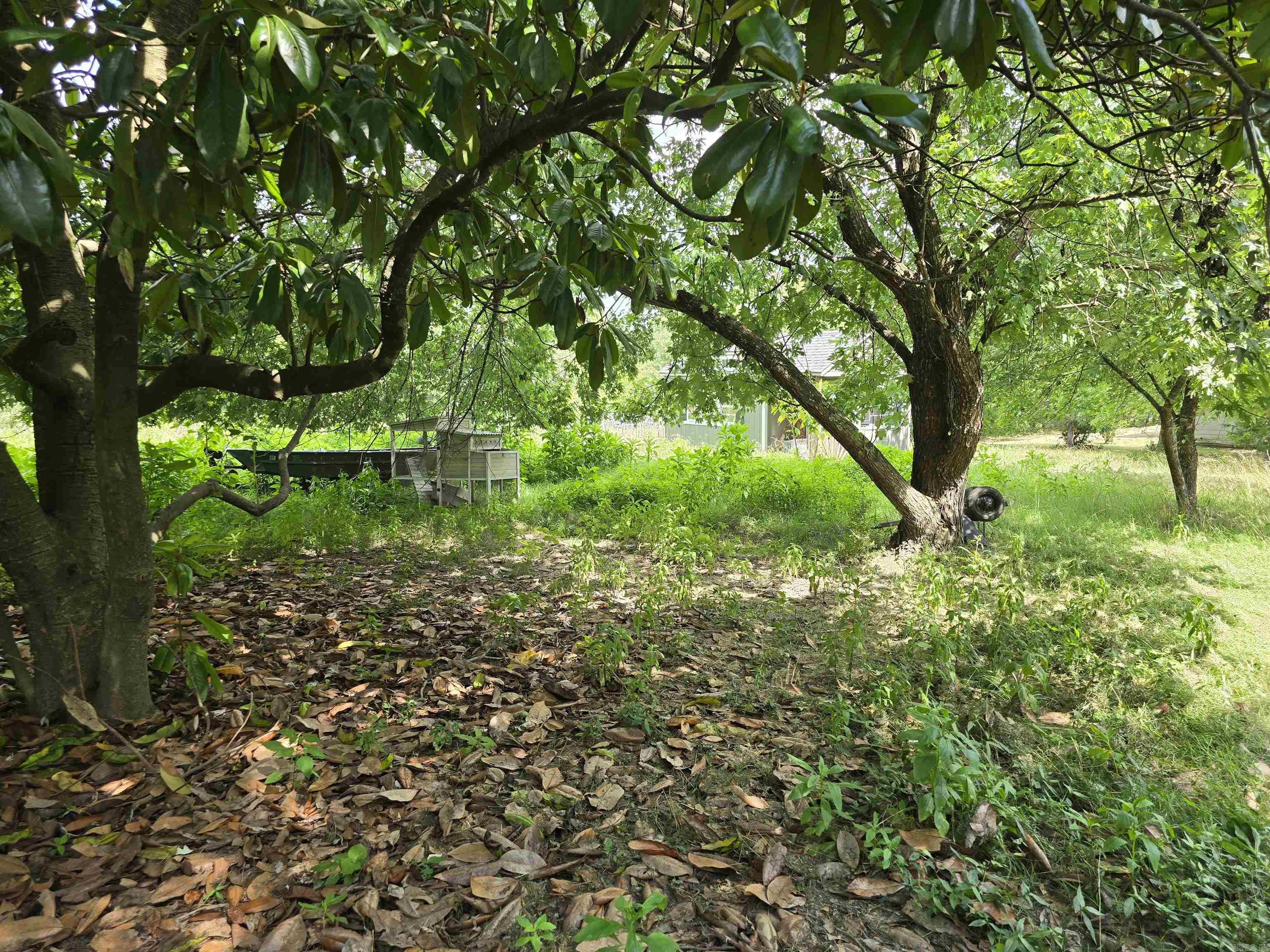 130 Polk Road 30  Hatfield, AR