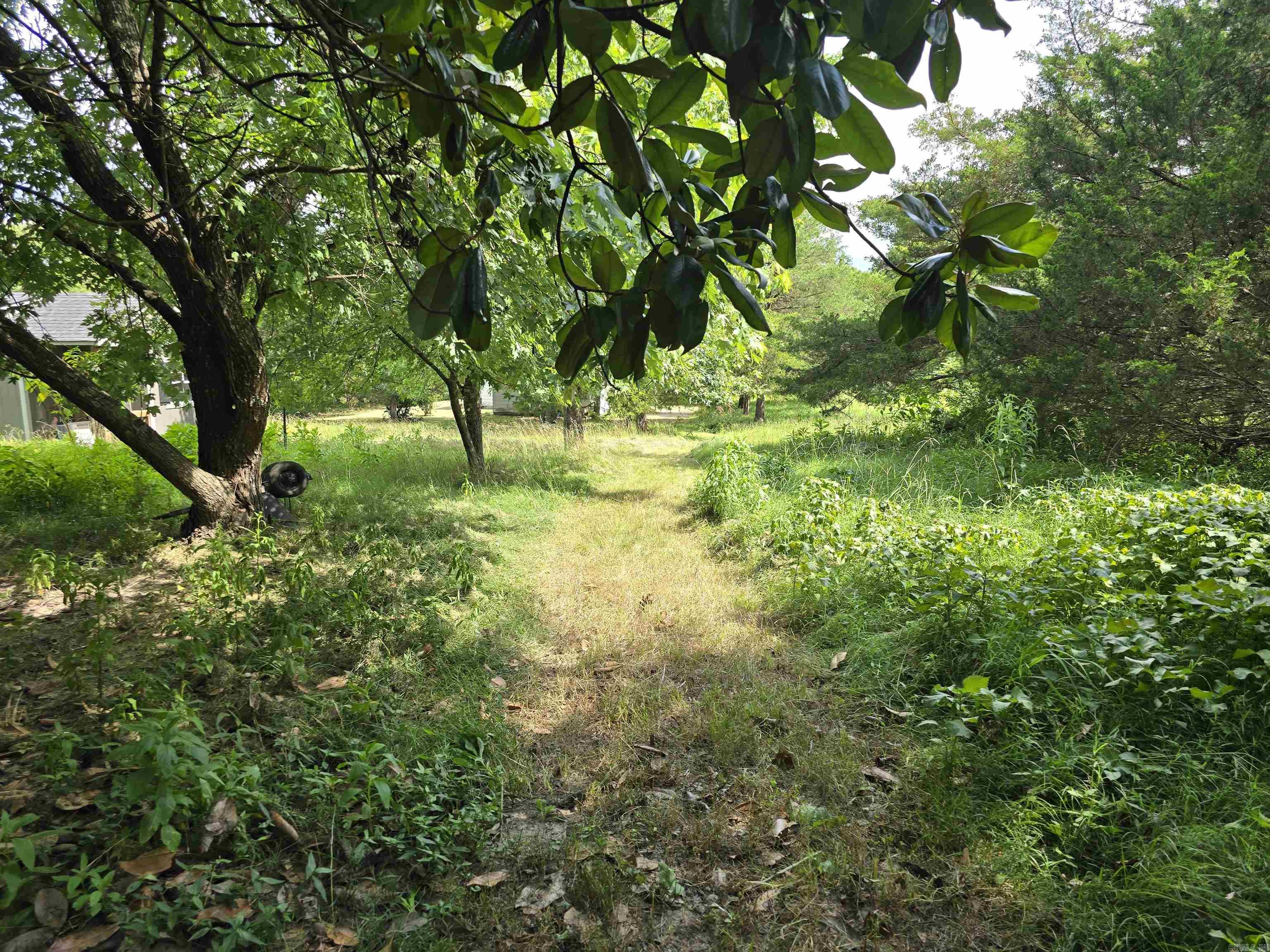 130 Polk Road 30  Hatfield, AR