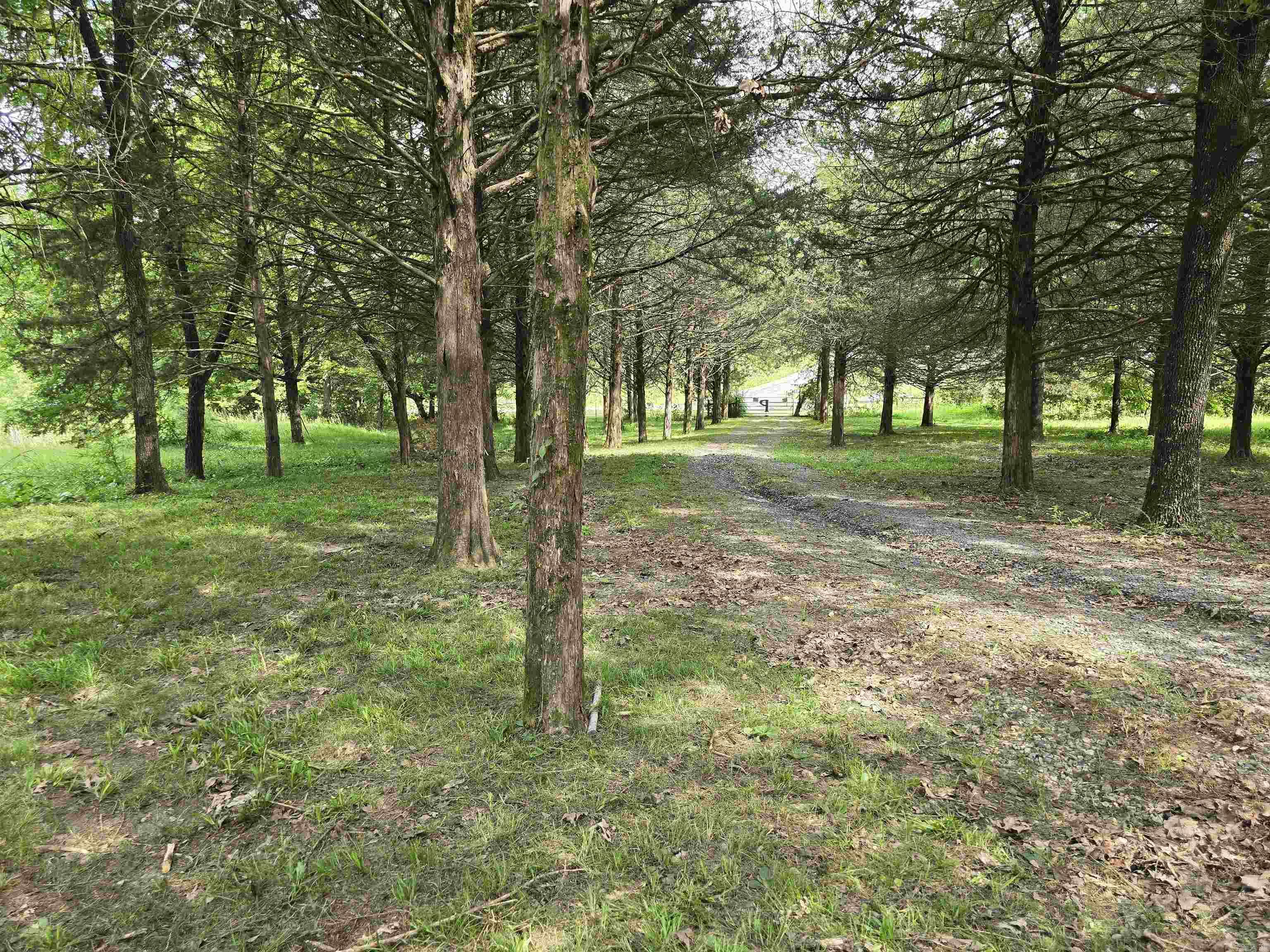 130 Polk Road 30  Hatfield, AR