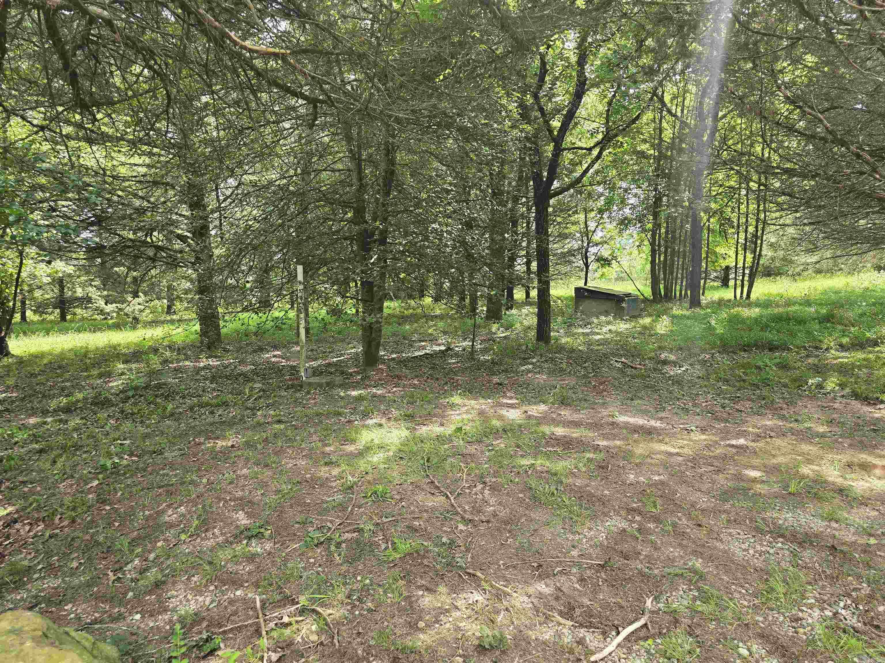 130 Polk Road 30  Hatfield, AR