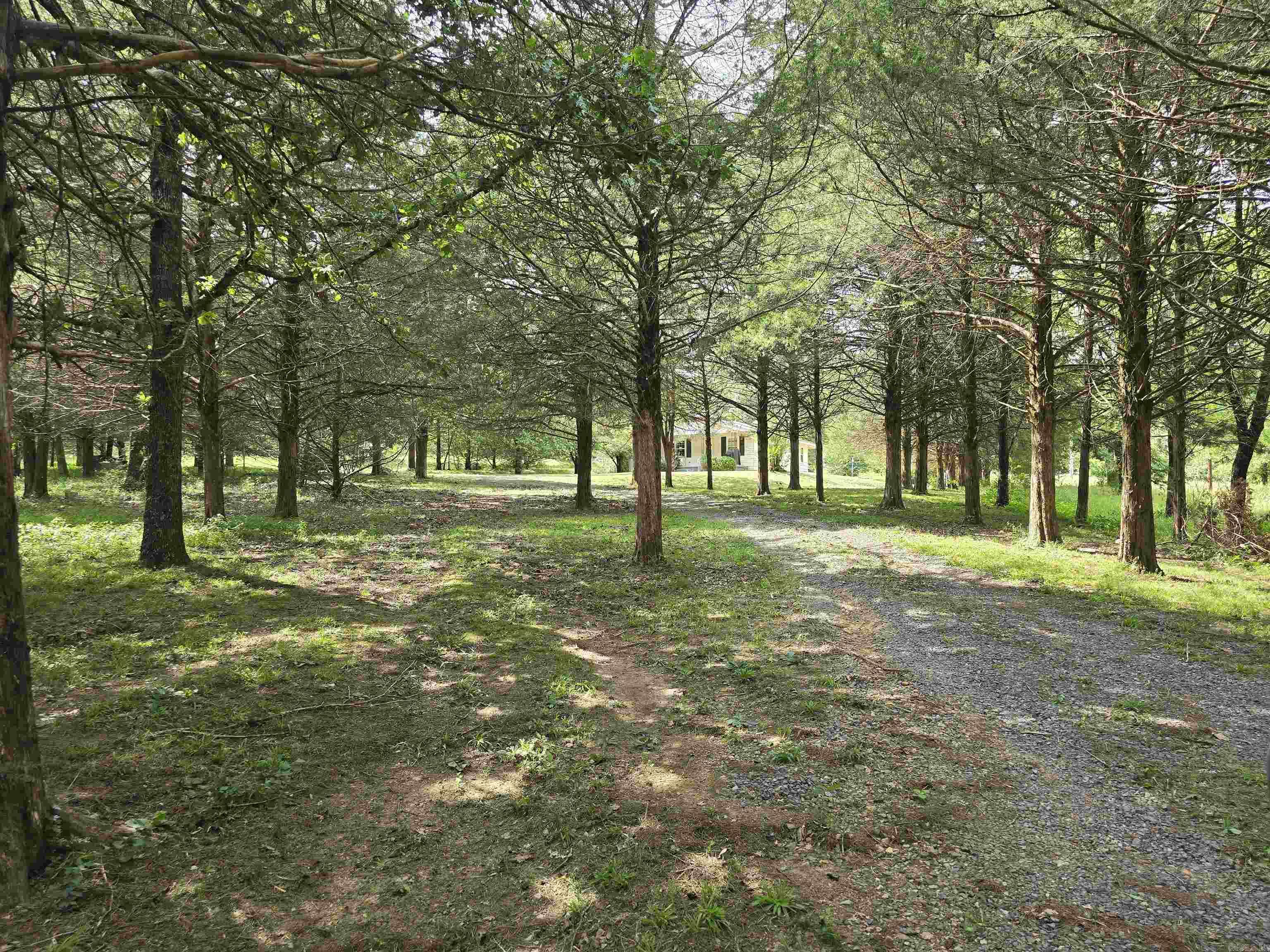 130 Polk Road 30  Hatfield, AR