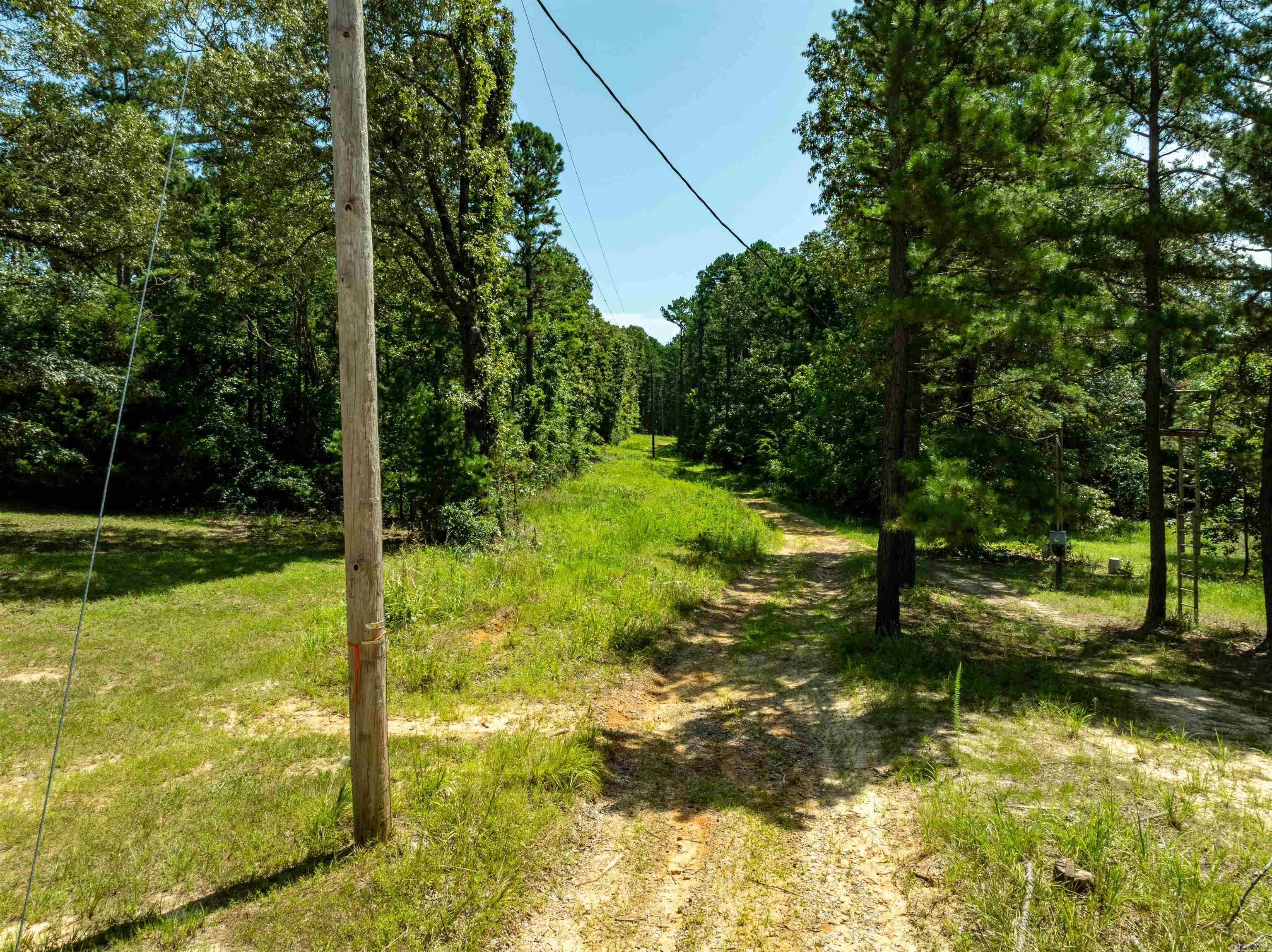 29 Bunch Ln  Cave City, AR