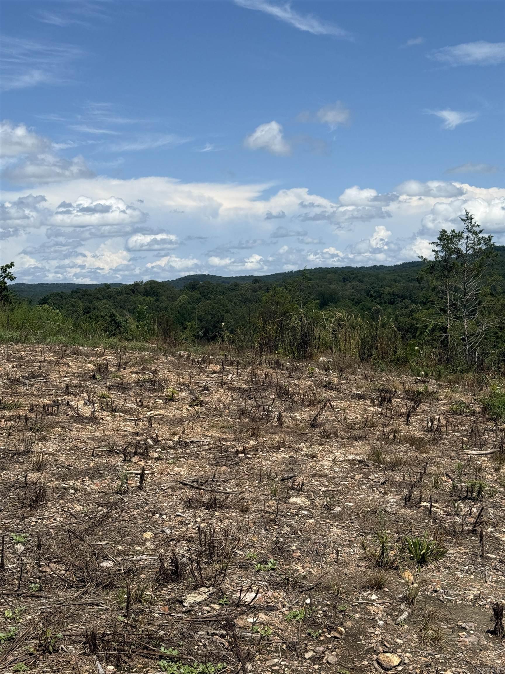 12952 Hwy 5  Norfork, AR