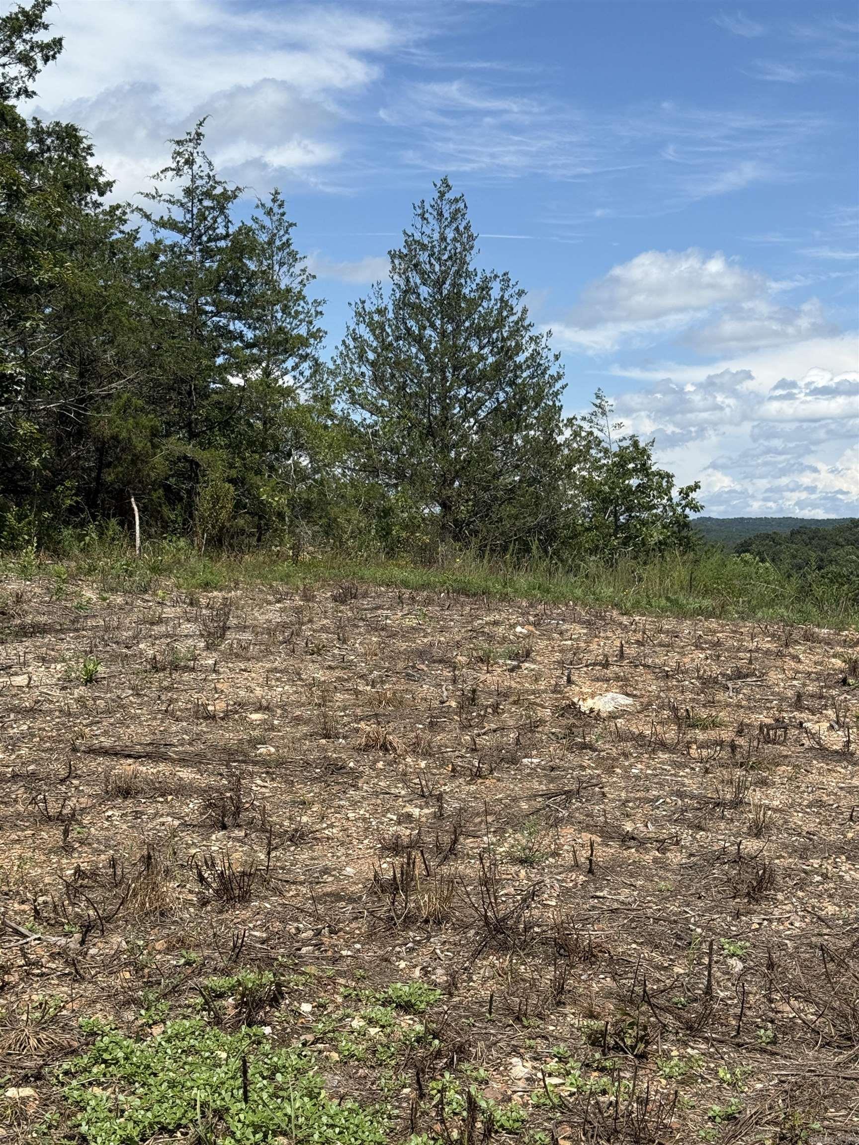 12952 Hwy 5  Norfork, AR