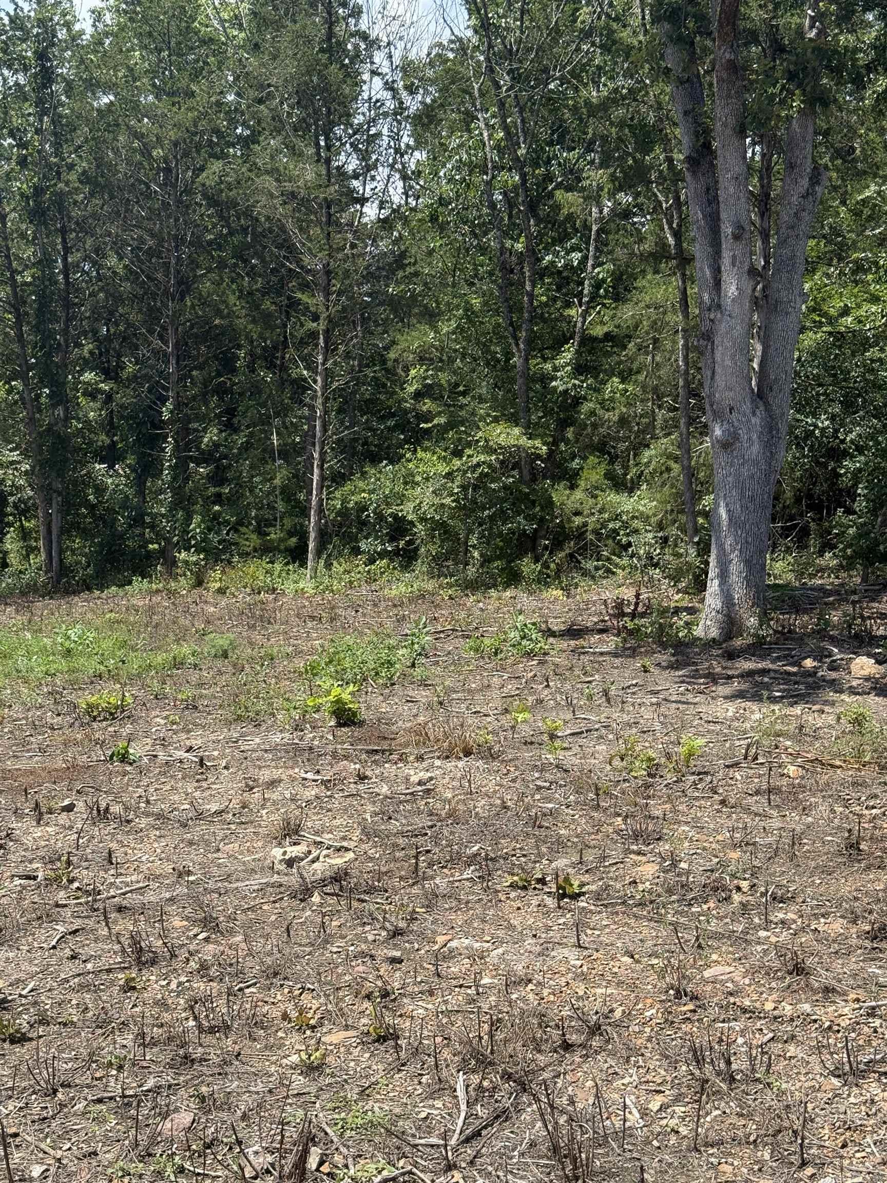 12952 Hwy 5  Norfork, AR