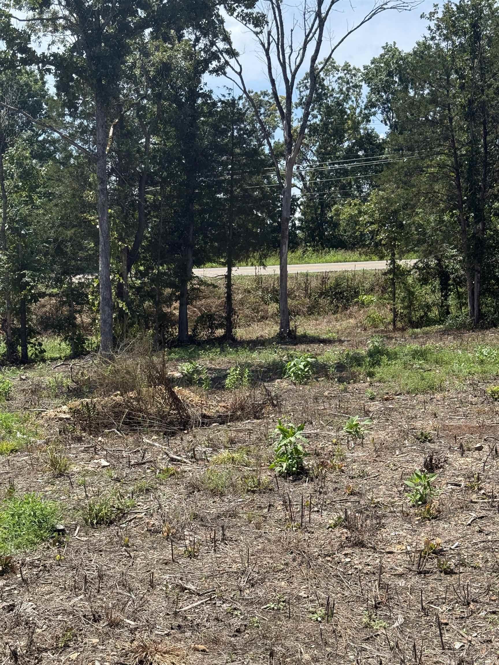 12952 Hwy 5  Norfork, AR