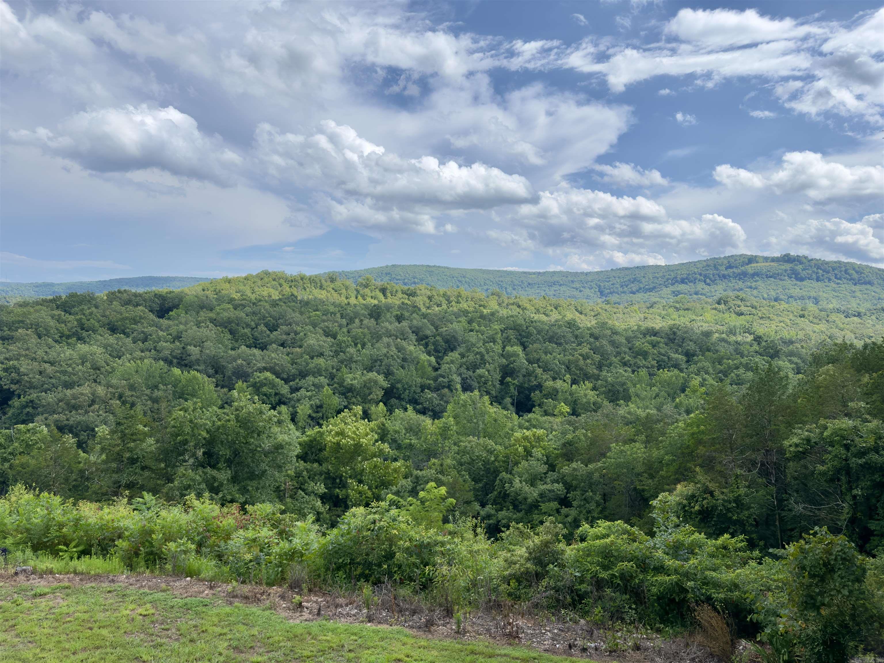 1491 Cedar Hills Dr  Mountain View, AR