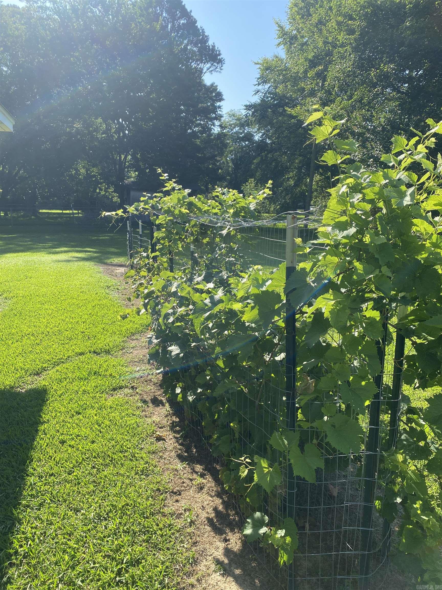 1212 Donaghey Ave. Conway, AR 72034