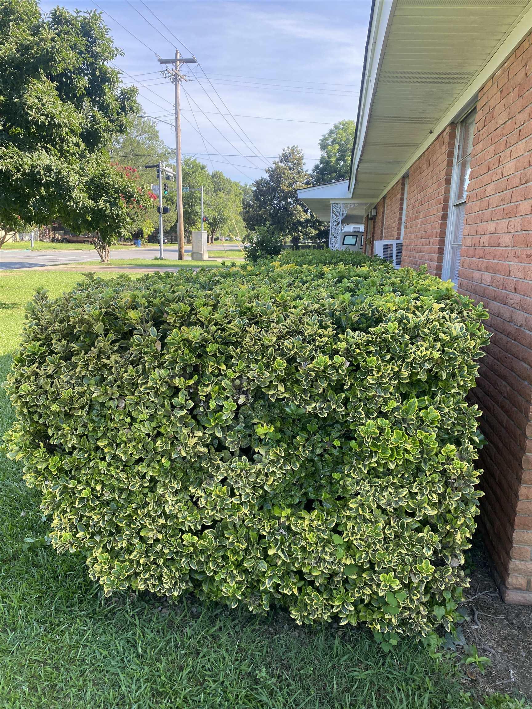 1212 Donaghey Ave. Conway, AR 72034