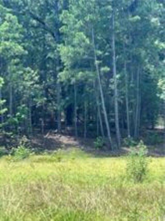 10108 Blevins Hill  Dardanelle, AR