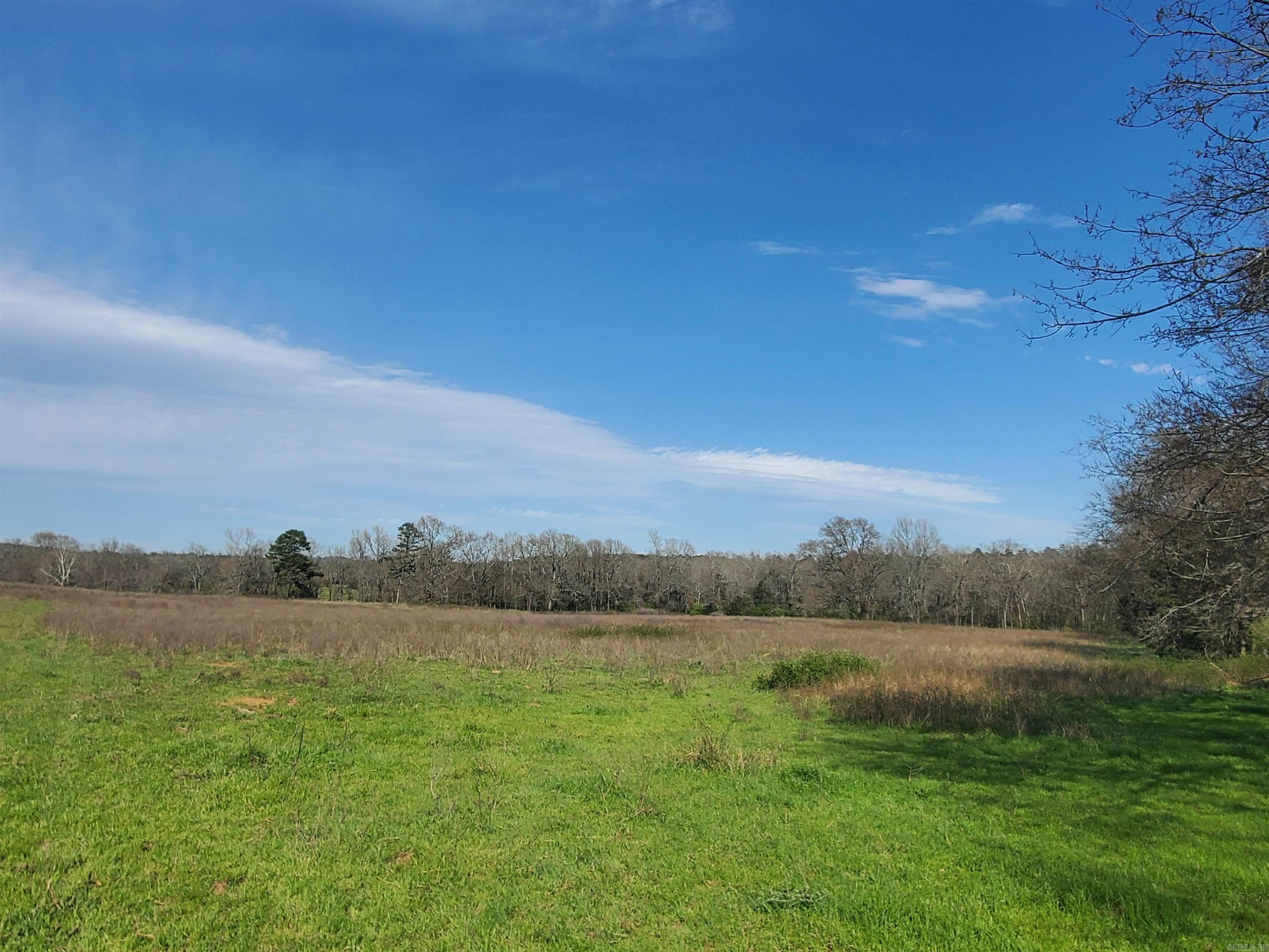 820 Blow Out Mtn.  Pencil Bluff, AR