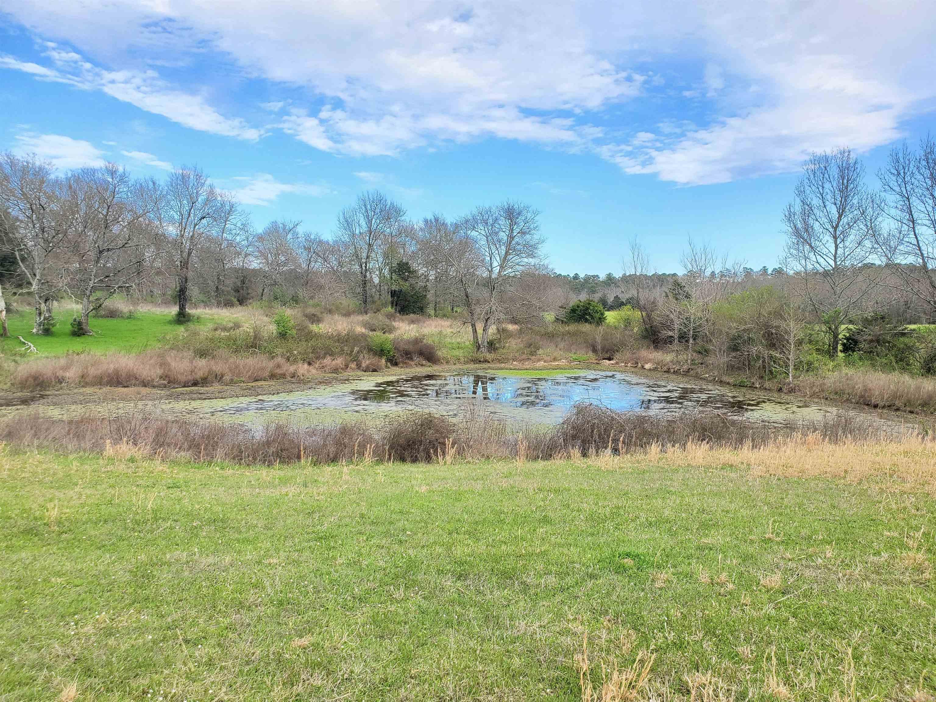 820 Blow Out Mtn.  Pencil Bluff, AR