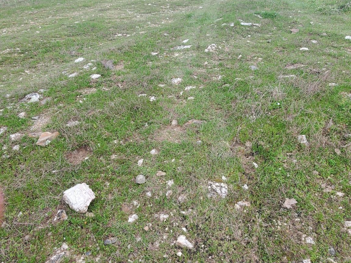 820 Blow Out Mtn.  Pencil Bluff, AR